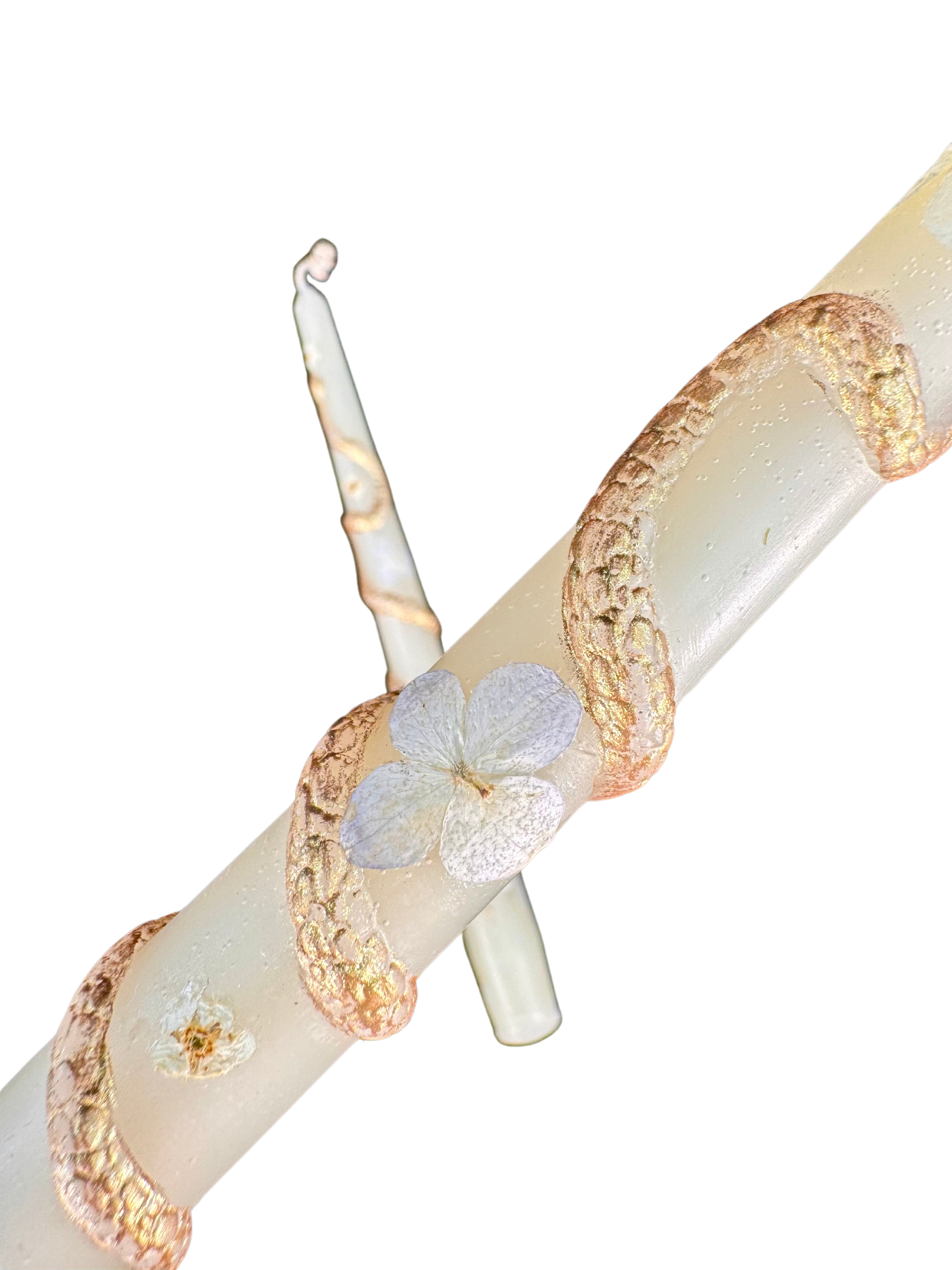 2bdab550-6174-49ca-963b-3f66575a426a.png