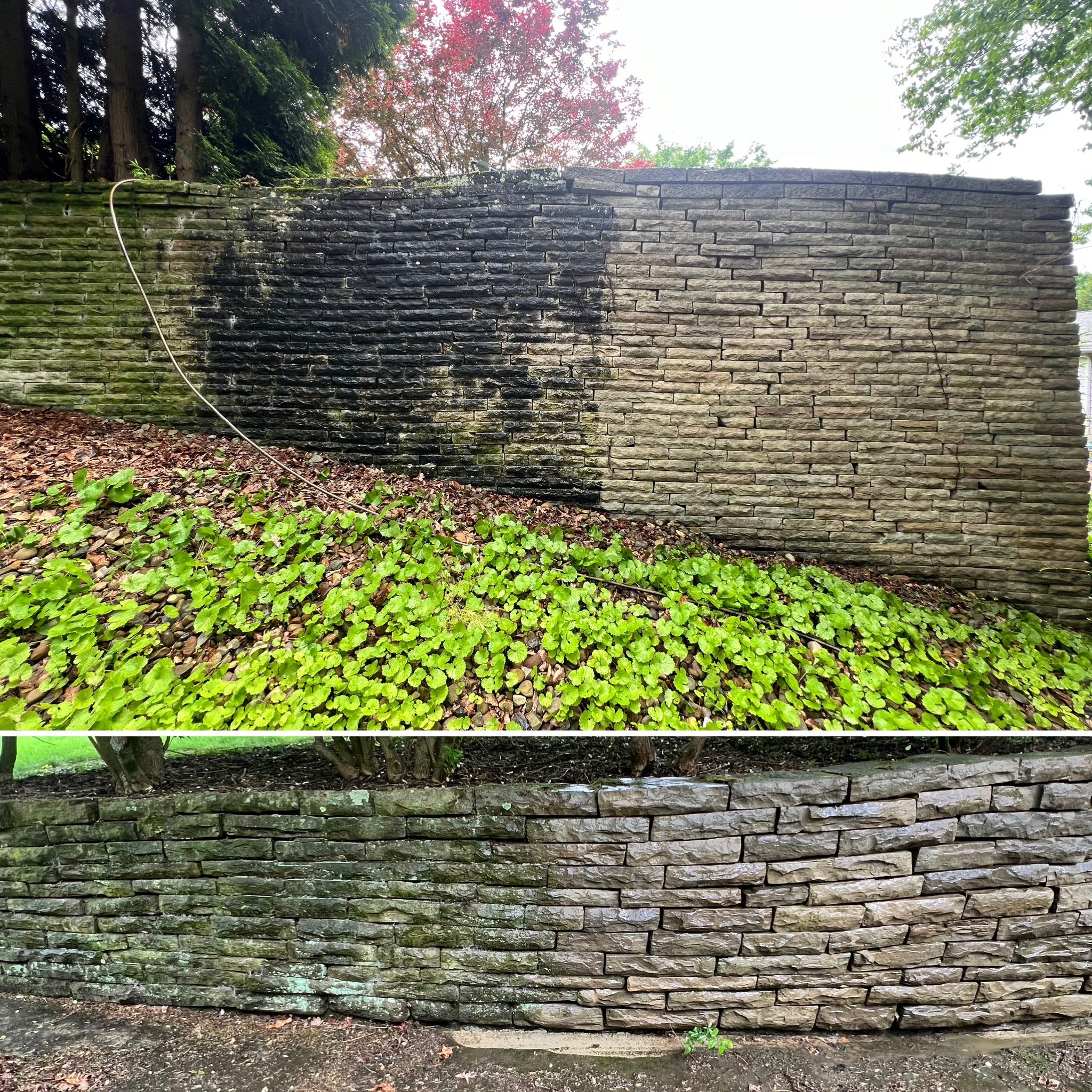 A stone wall with two sections: one darker and mossy, the other lighter, with a background of trees and cloudy sky.
