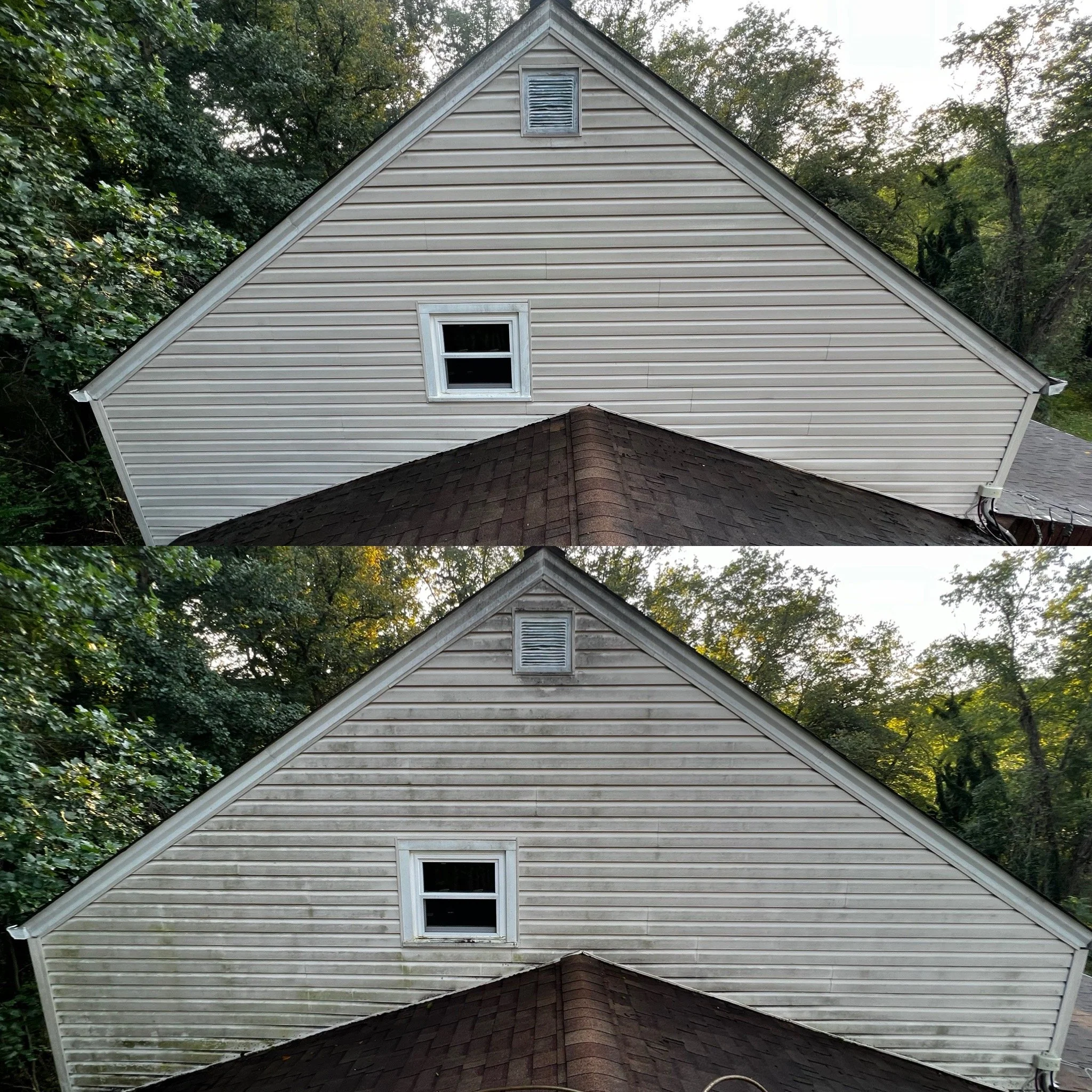A house with beige horizontal siding, two windows, and a gable roof is surrounded by trees and foliage, with a dark shingled roof in the foreground.