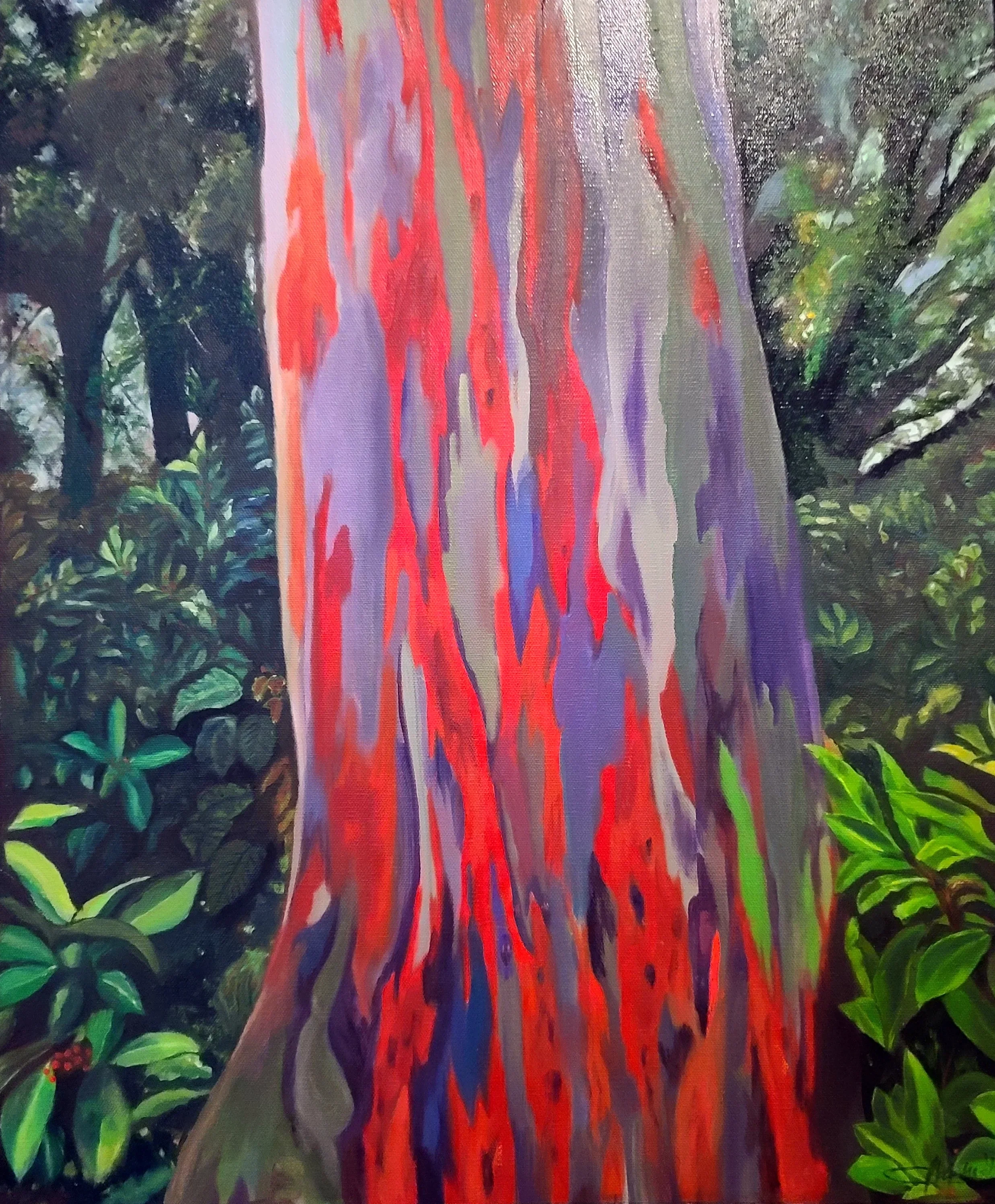Rainbow Eucalyptus