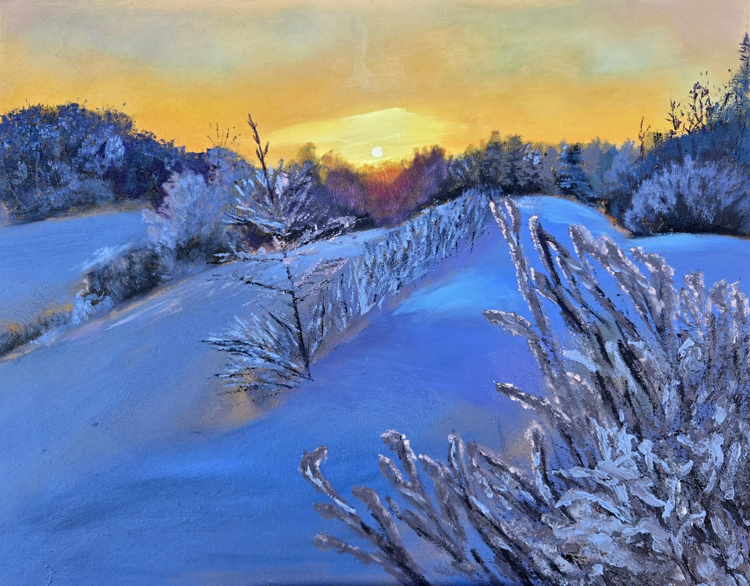 Winter Scene 1