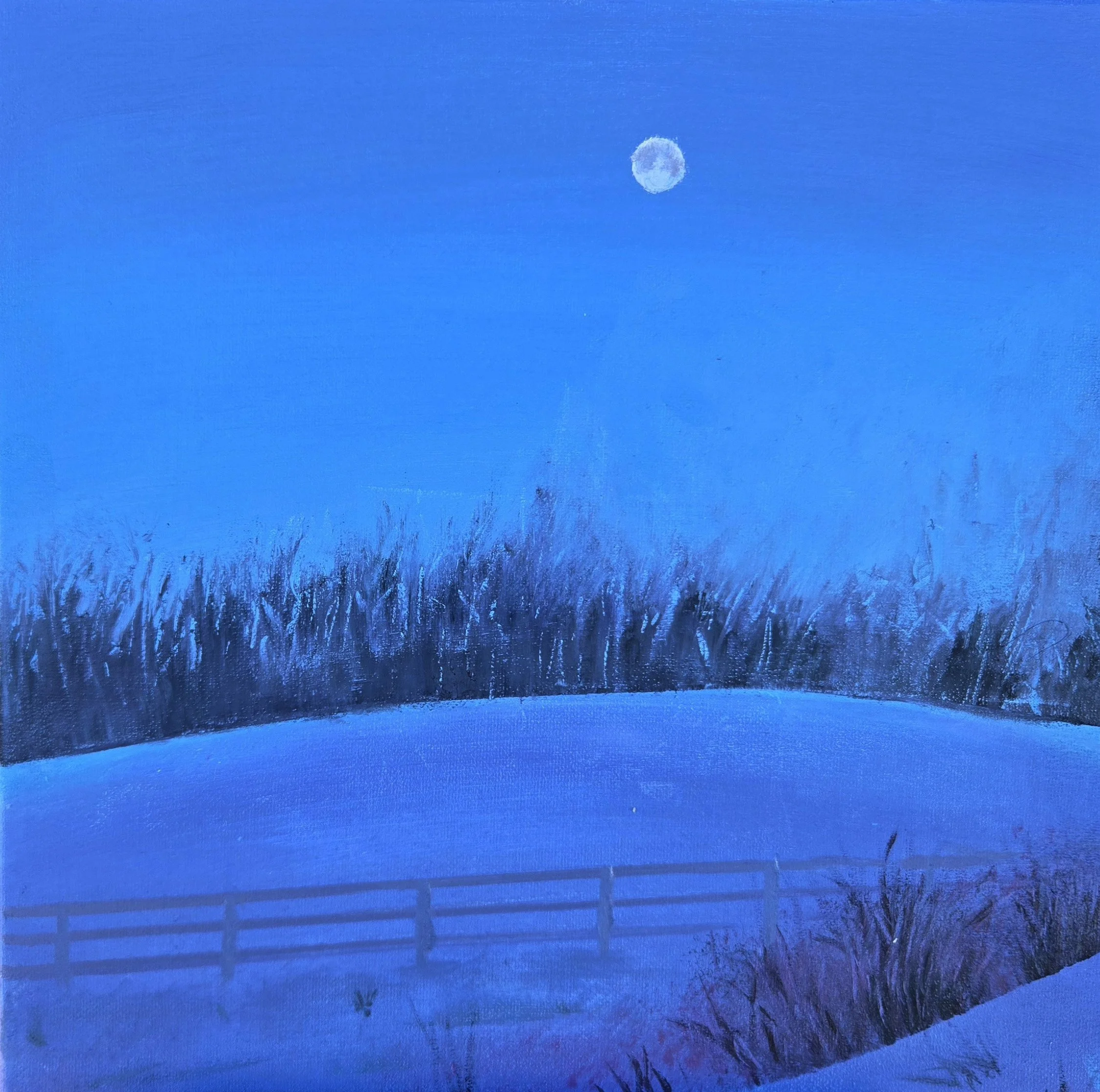 Winter Scene 2
