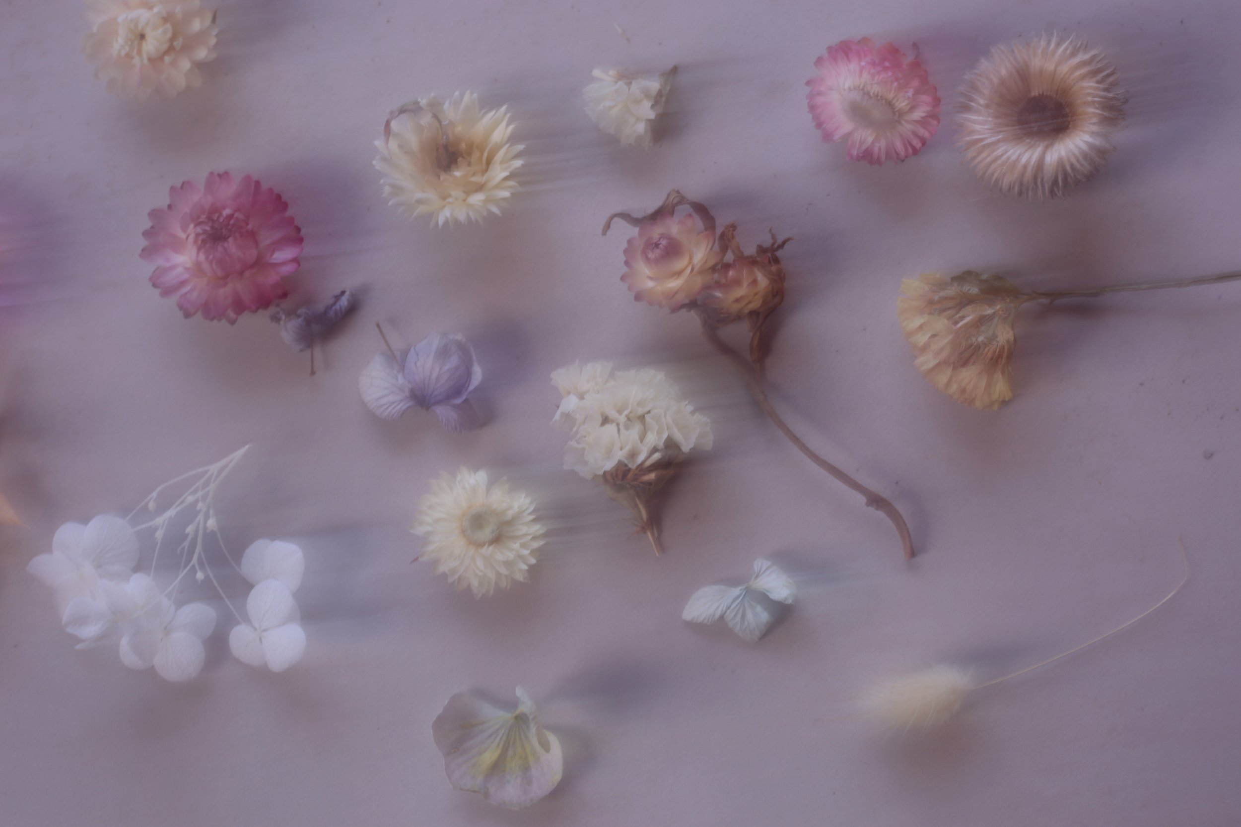 pretty.jpg
