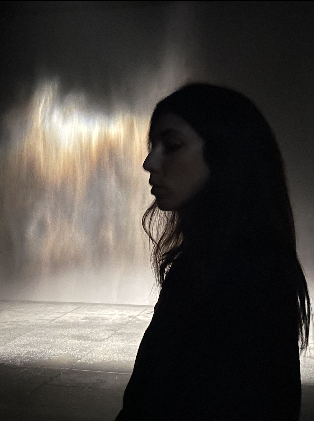 Silhouette of Benedetta Grazian standing in front of a misty, illuminated backdrop.