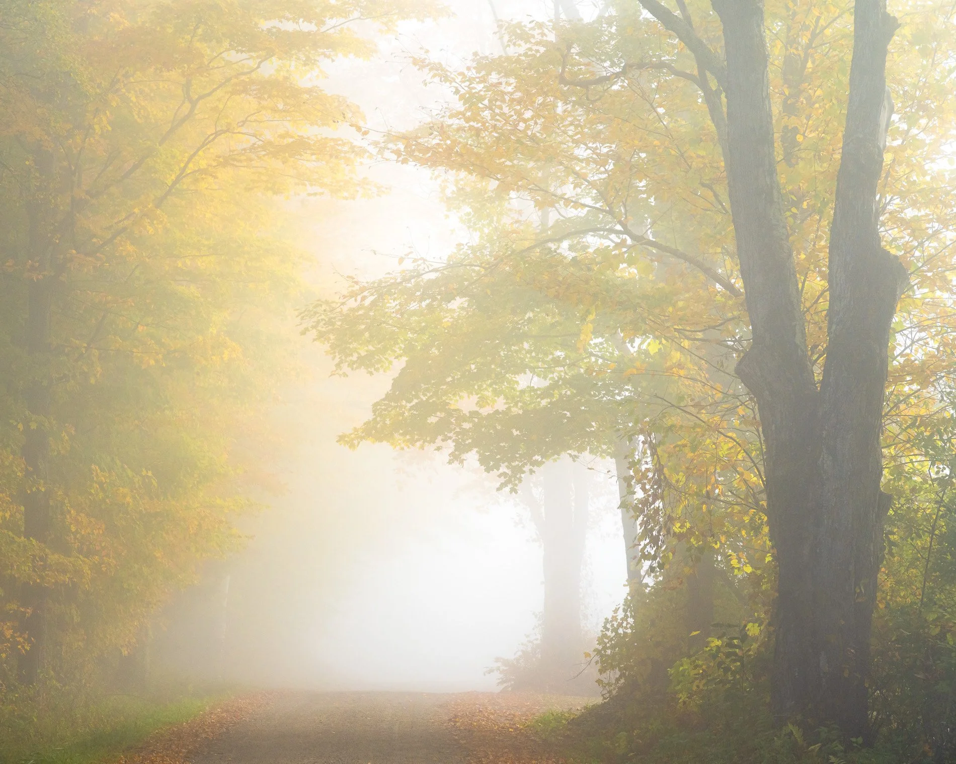 Vermont Autumn misty back road