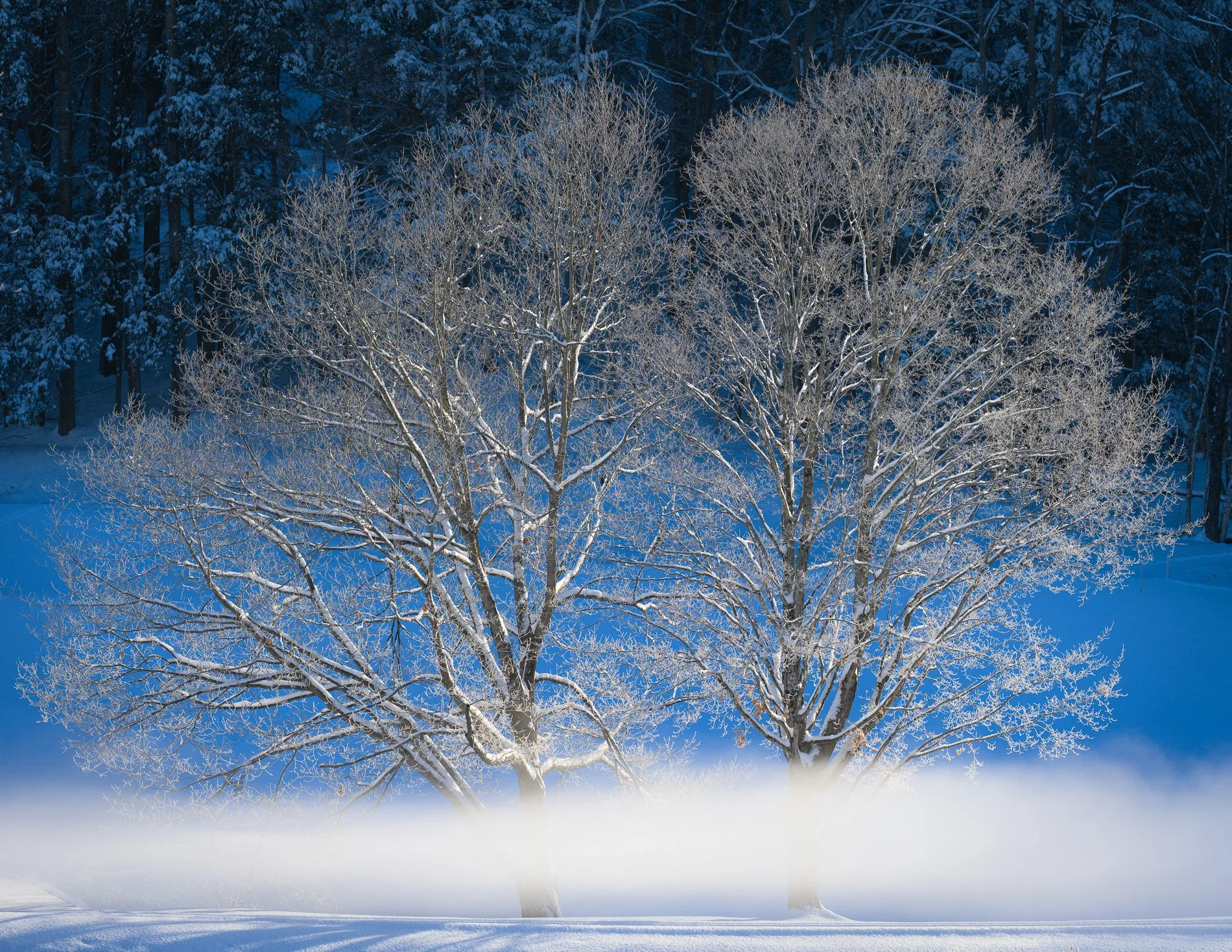 IOV file 20242-5.jpg