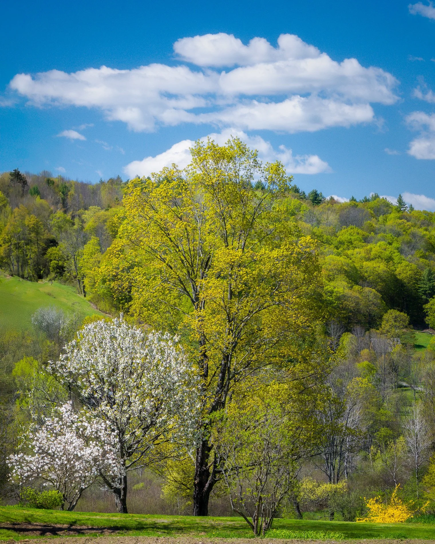 IOV file 20241-26.jpg