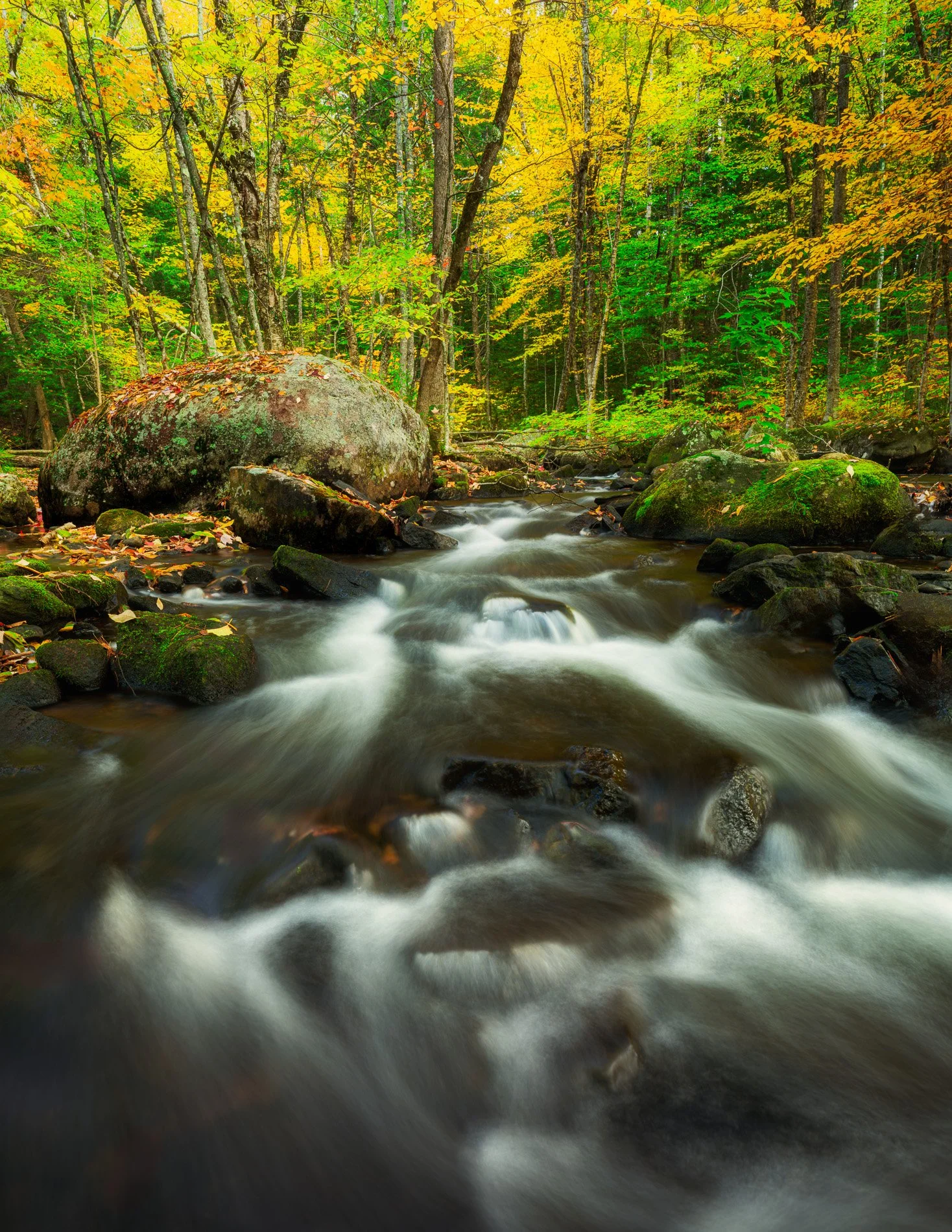 Vermont Autumn Stream
