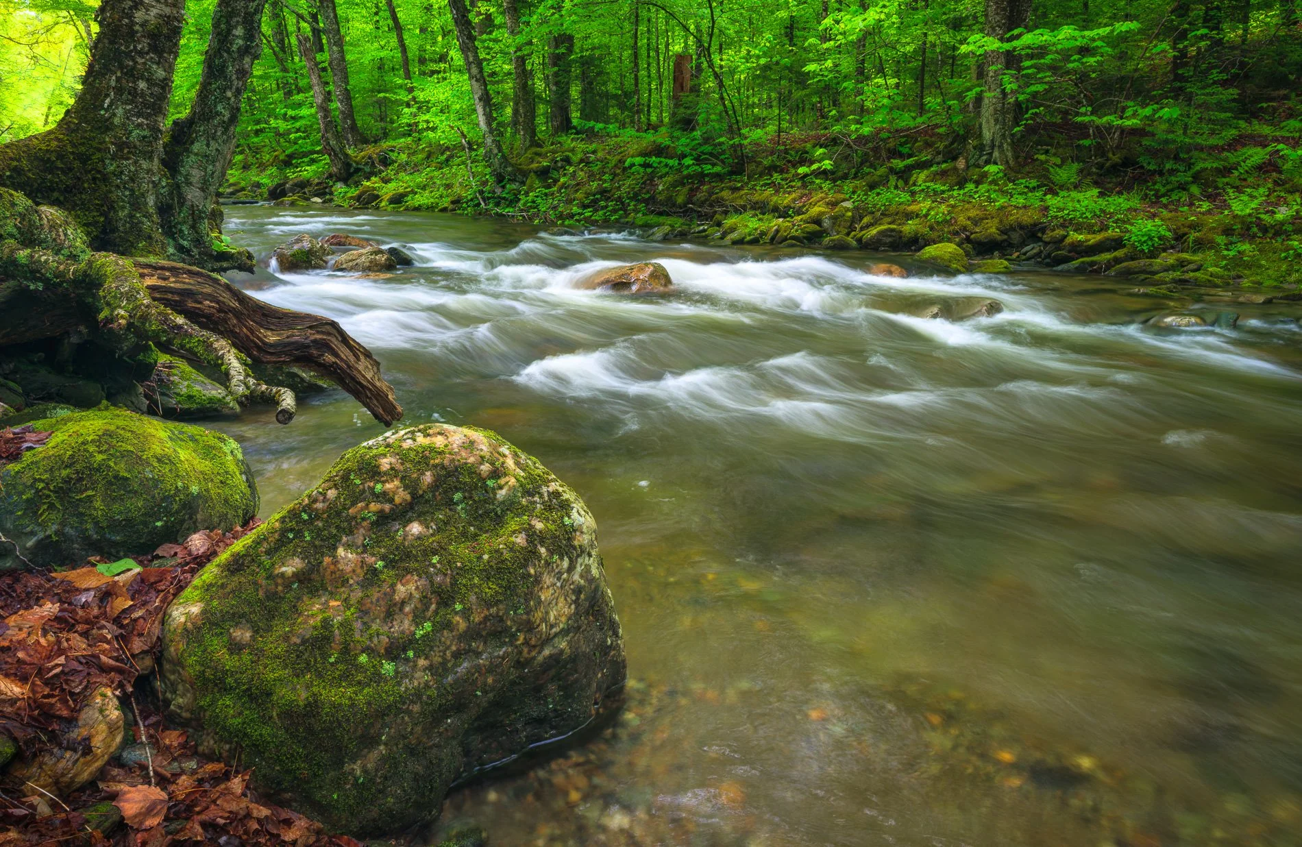 Flowing Vermont Spring Stream