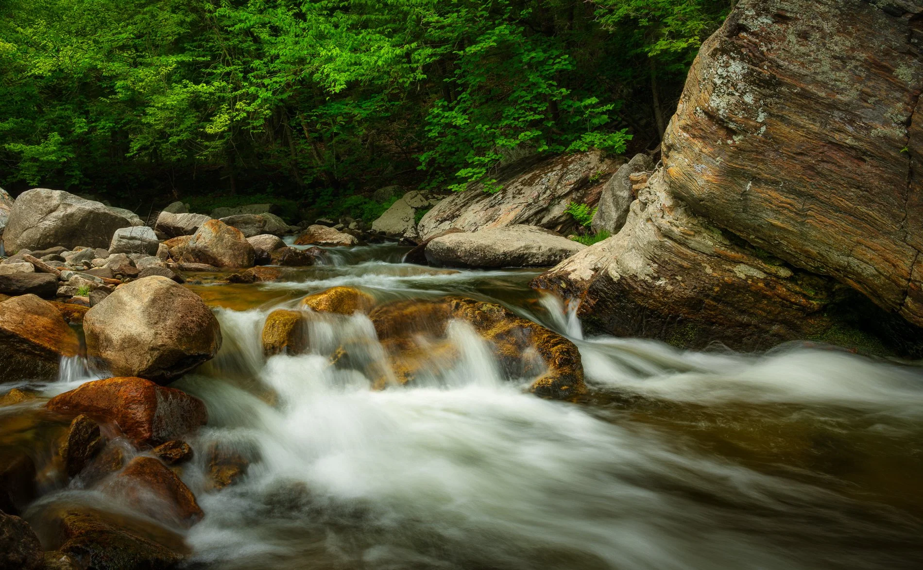 Green Mountain Stream