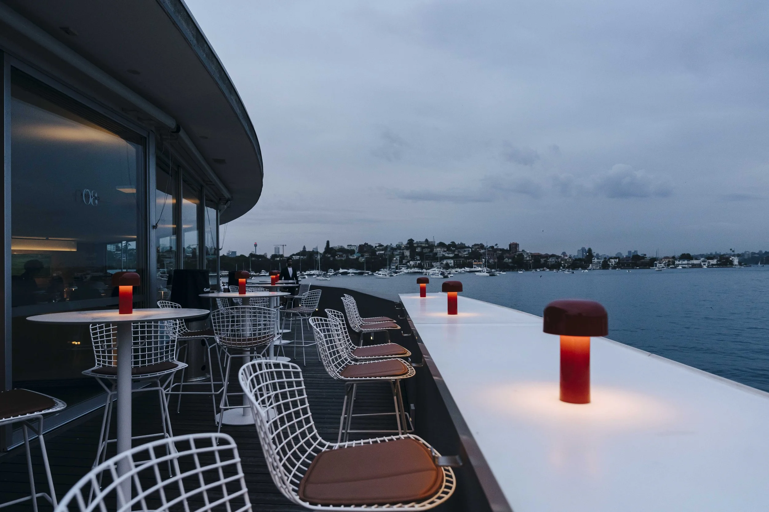Introducing ‘pelican hour’