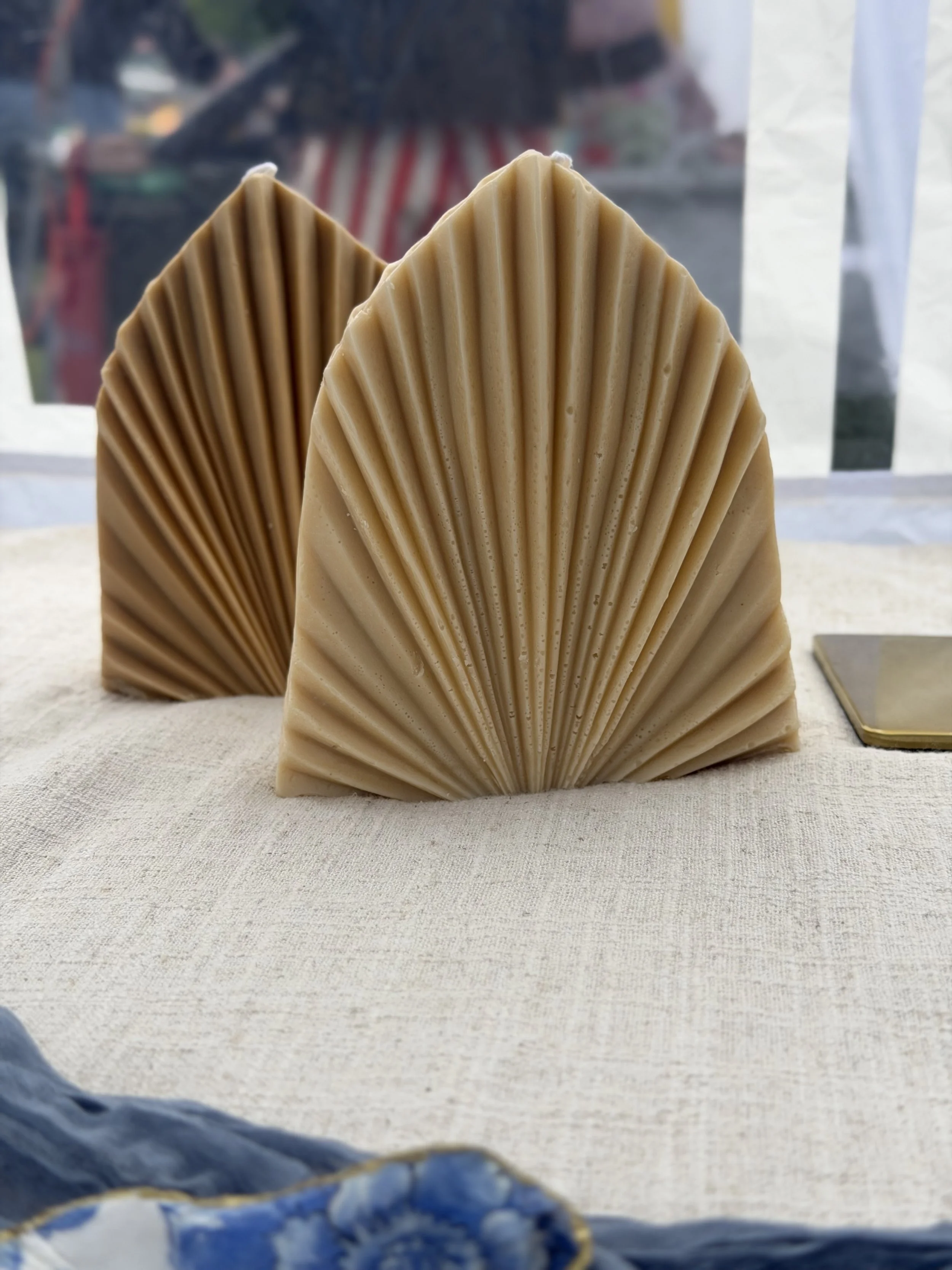 Coastal Shell
