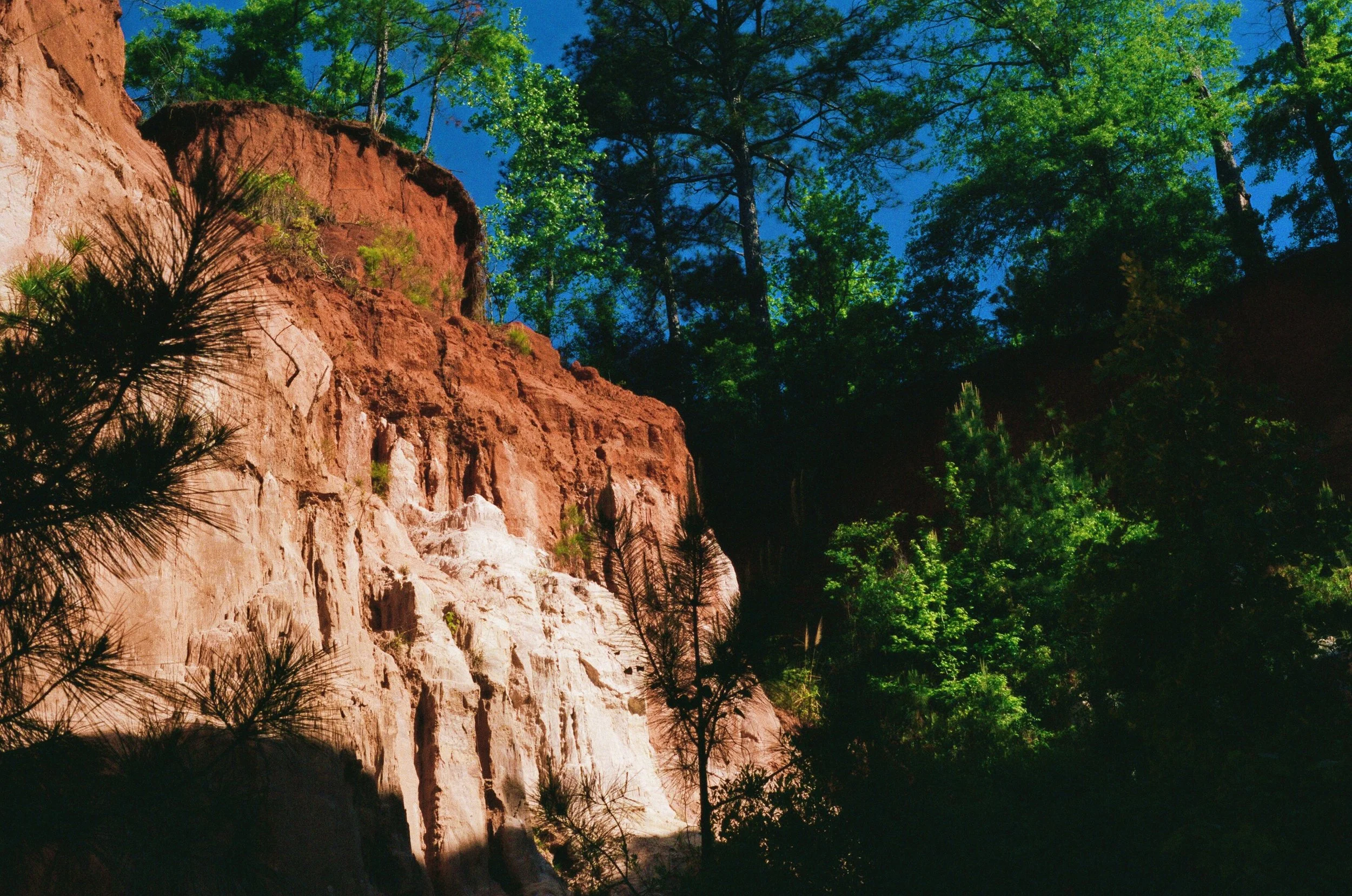 providence canyon 2.jpg