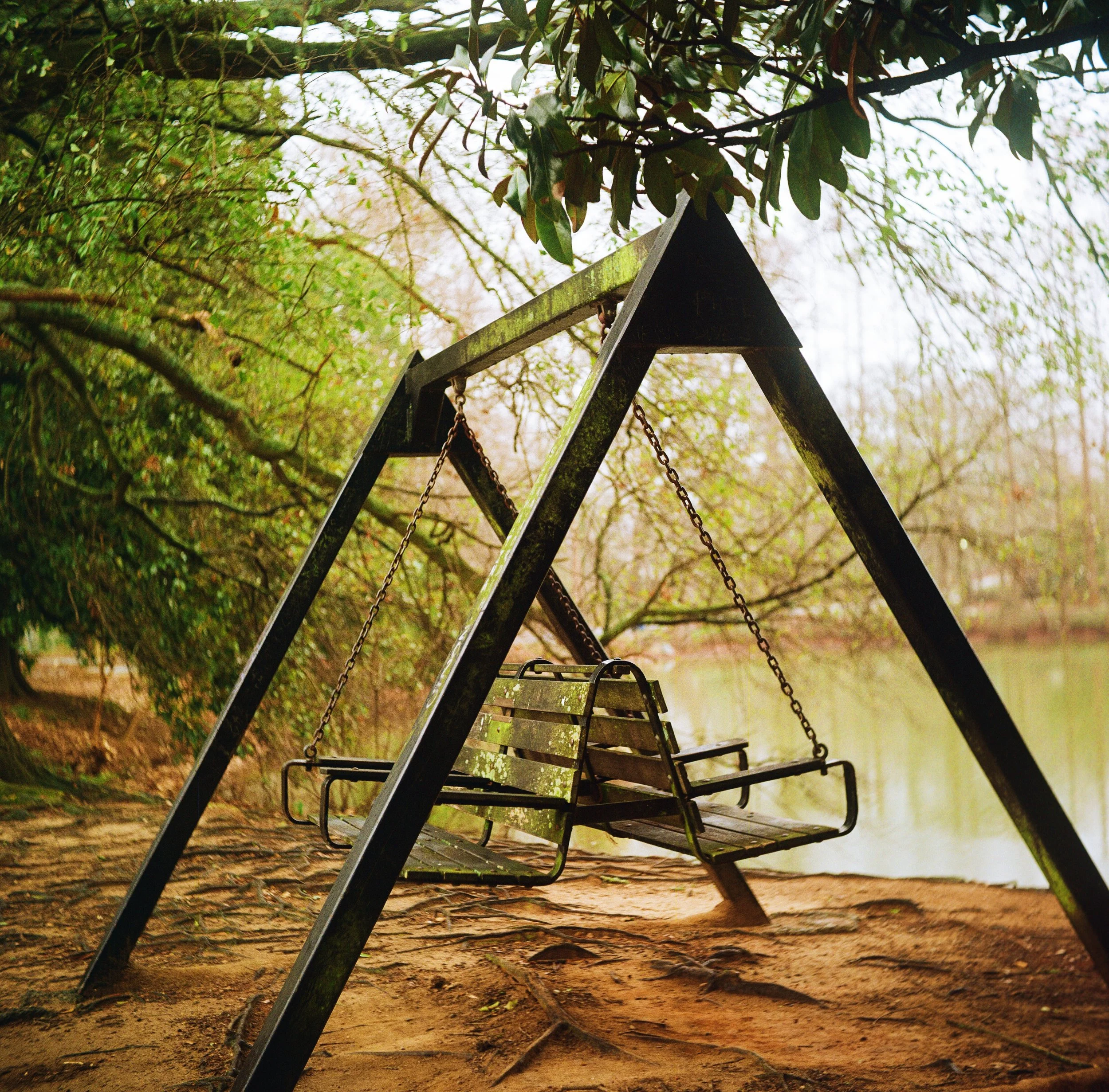 old swing.jpg