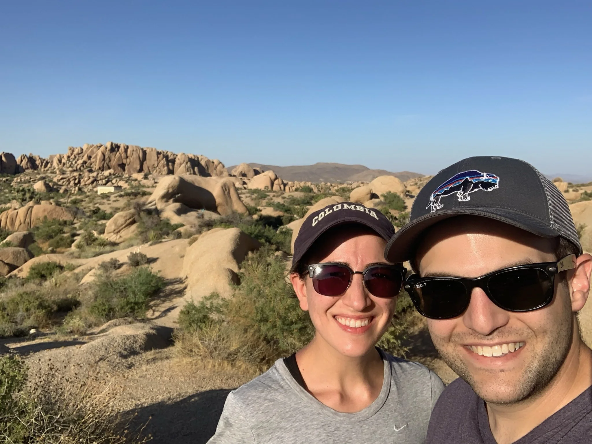 Joshua Tree, 2022