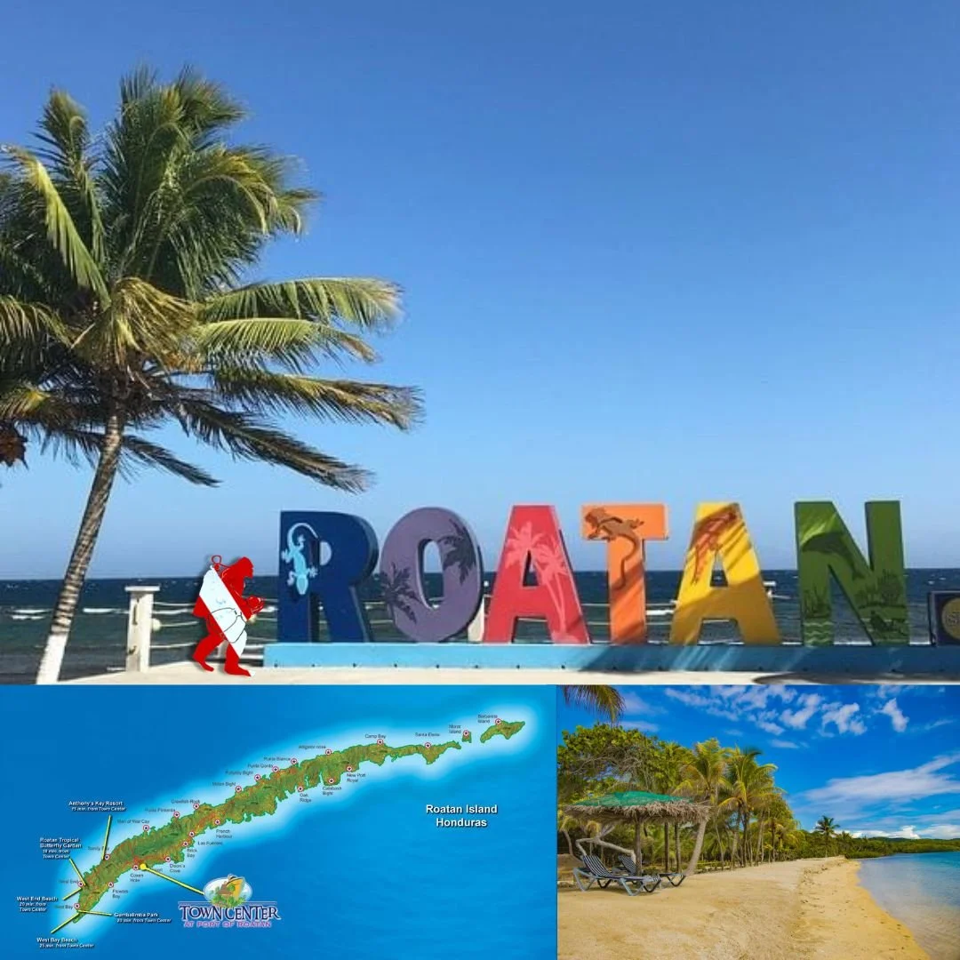 Roatan 2026 Dive Trip Image.jpg