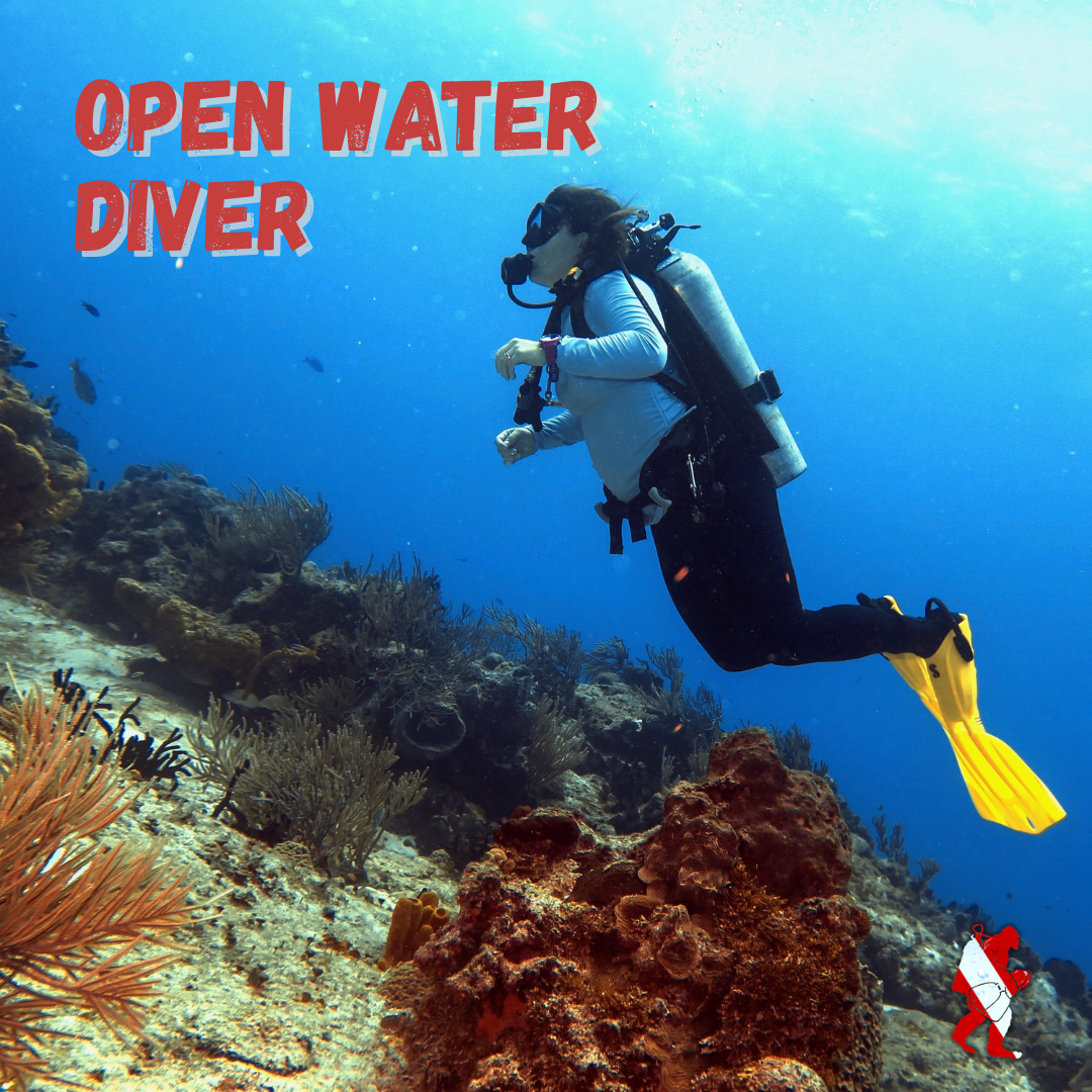 Open Water Scuba Certification Package