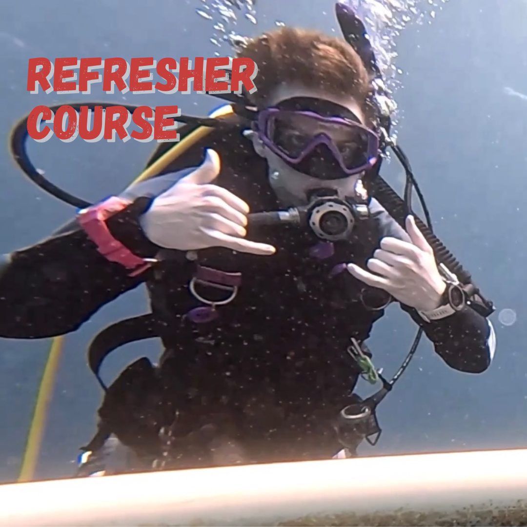 Refresher Course