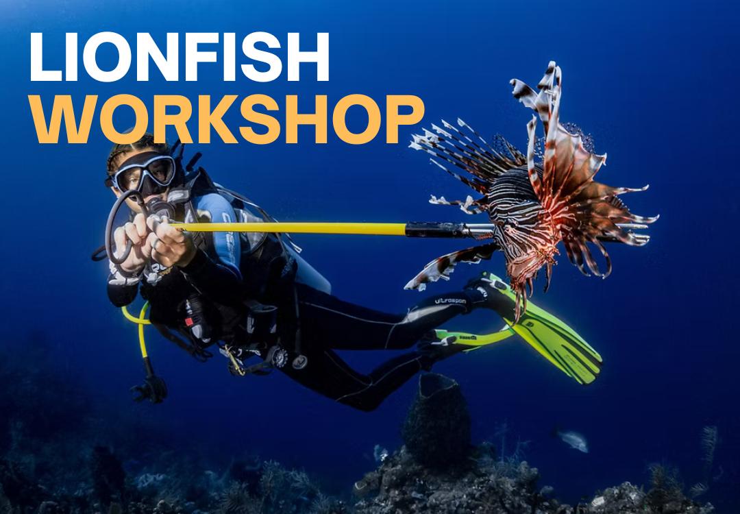 1080x750 Website Thumbnails.png