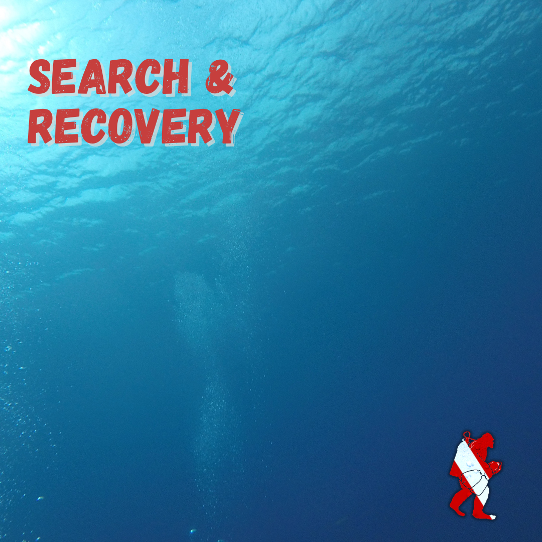 Search & Recovery