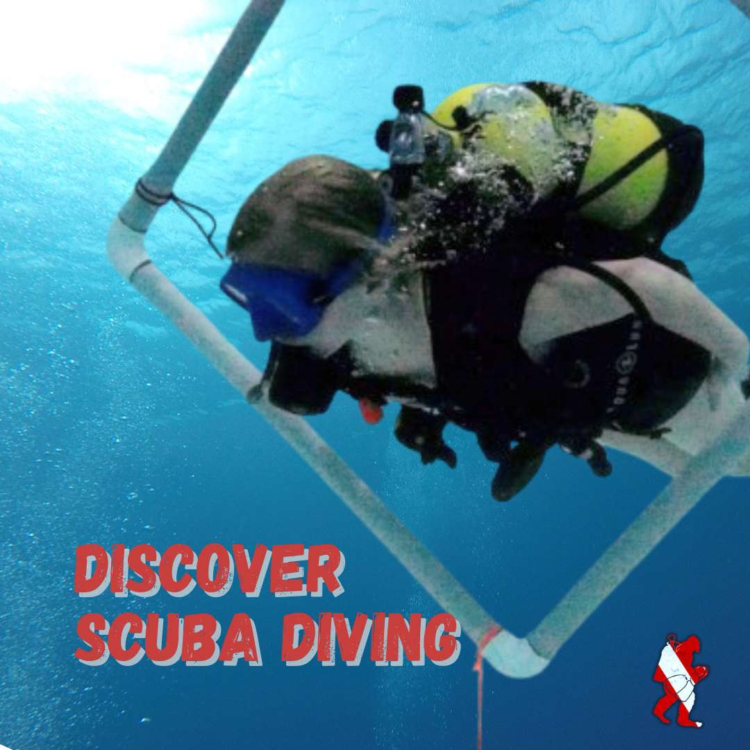 Discover Scuba