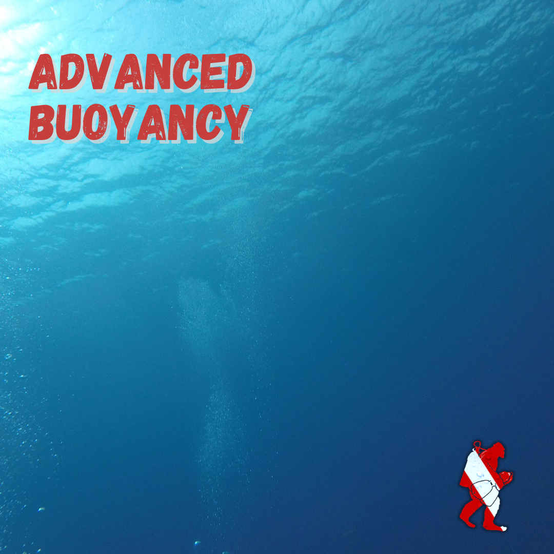 Advanced Buoyancy Certificate