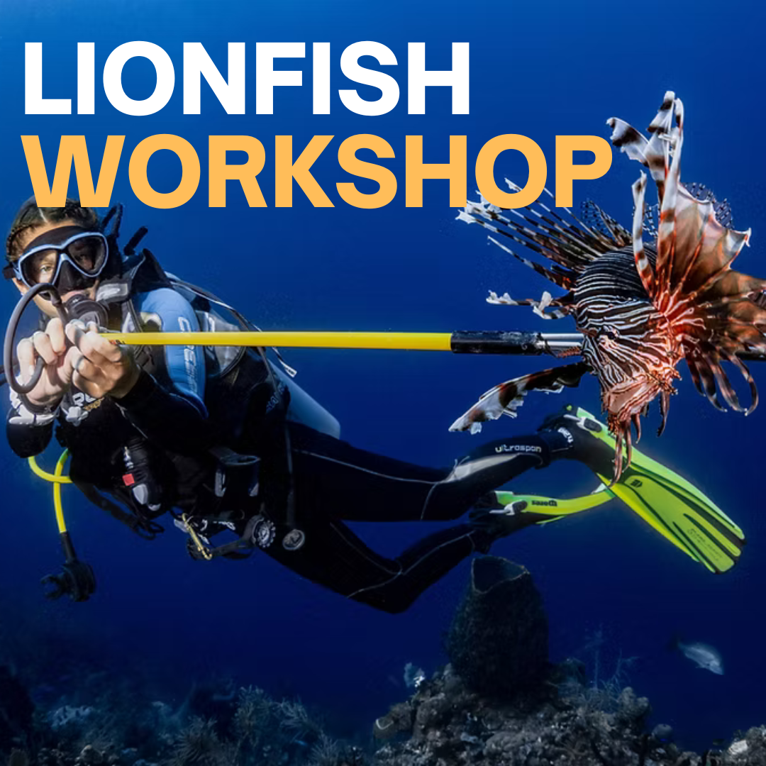 Lionfish Hunting