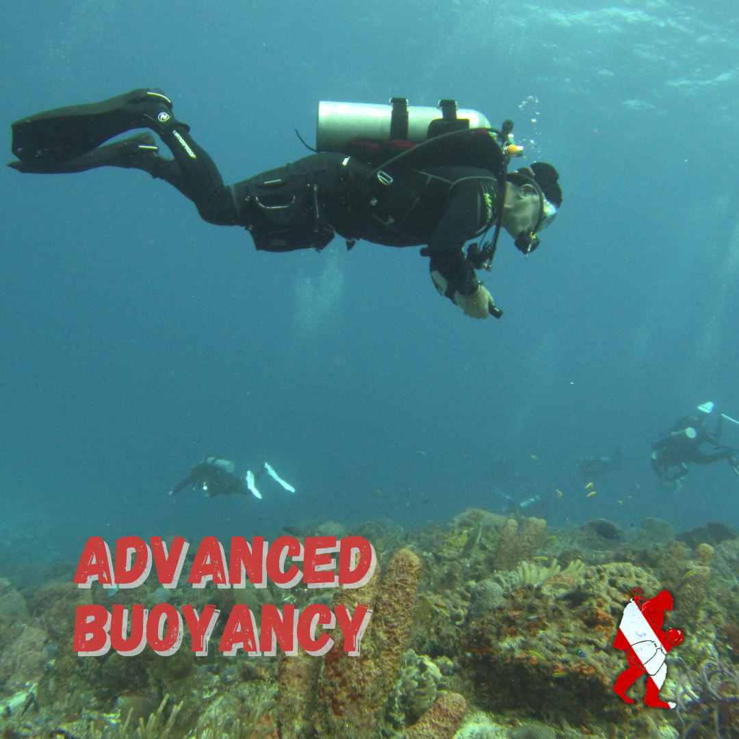 Advanced Buoyancy Certificate