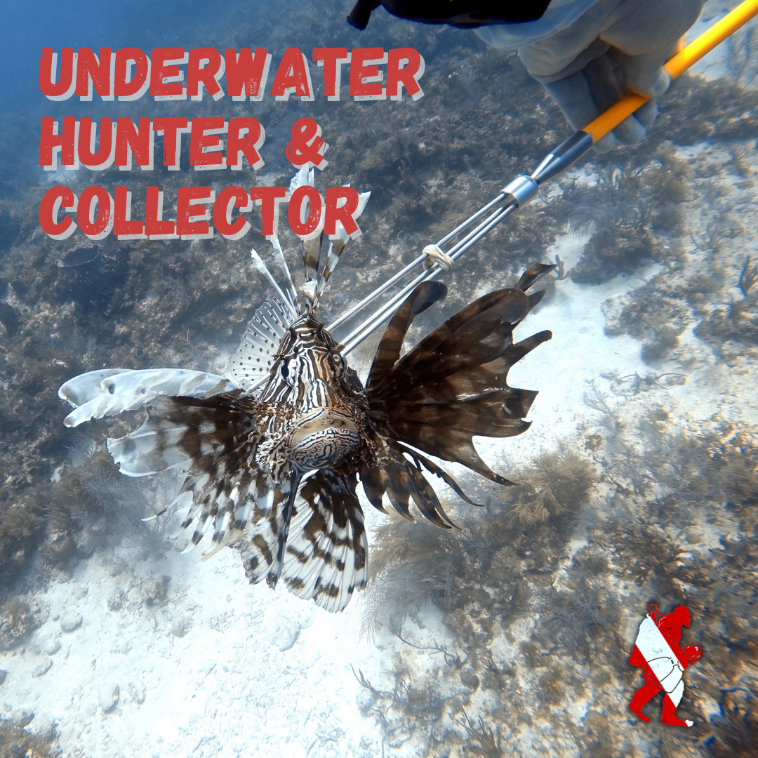 Underwater Hunter & Collector DIver