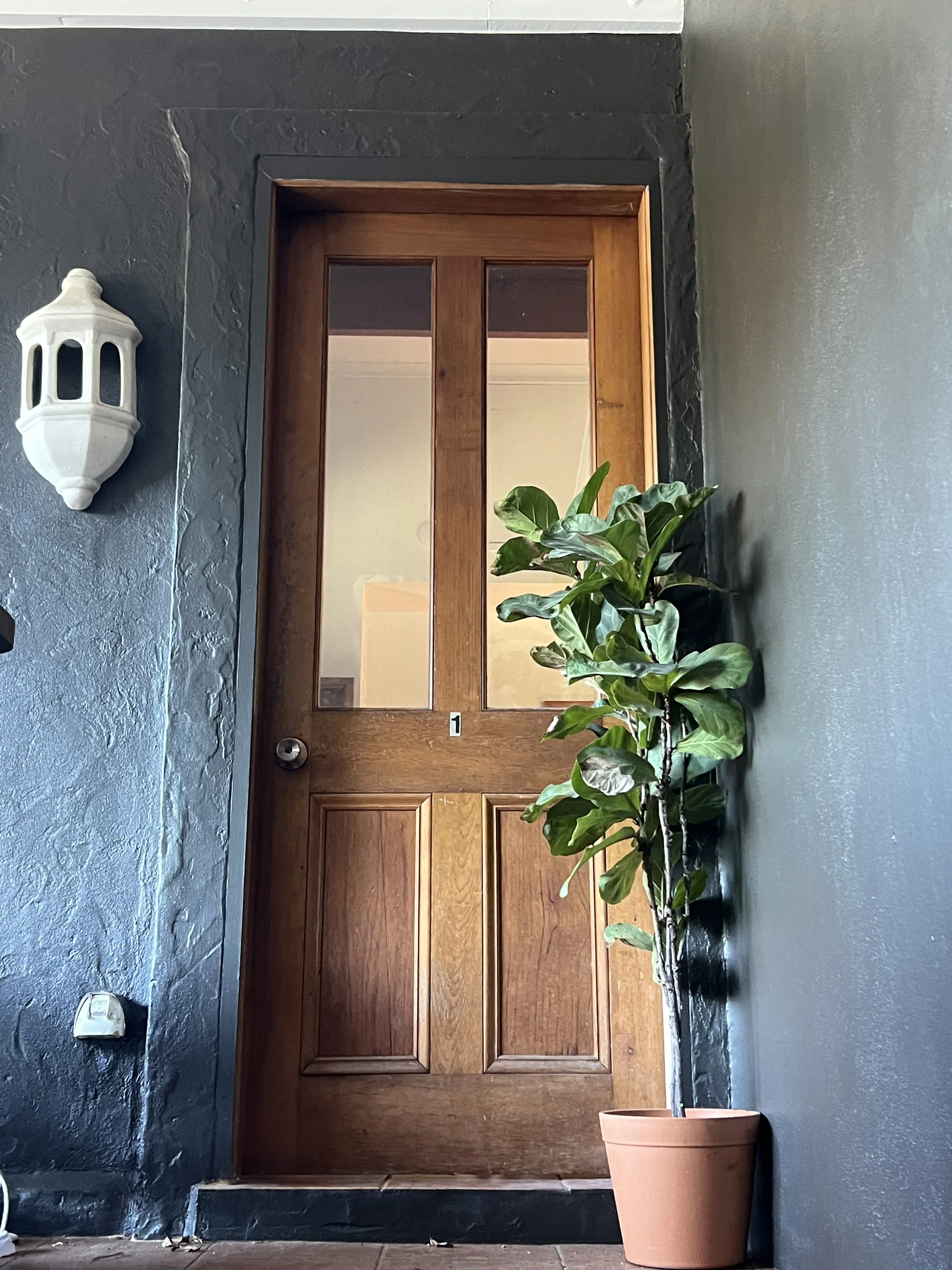 A wooden front door with glass panels is set in a dark blue wall. To the left of the door, a white outdoor lantern is mounted on the wall. A potted plant with broad green leaves is placed in front of the door, on the right side.