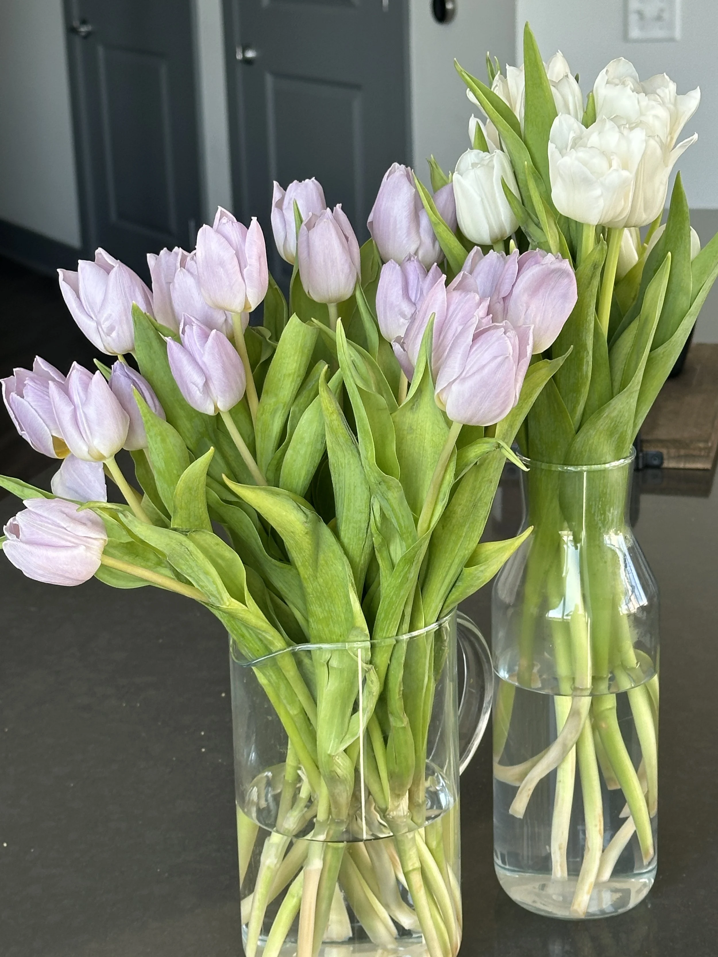 Tulips