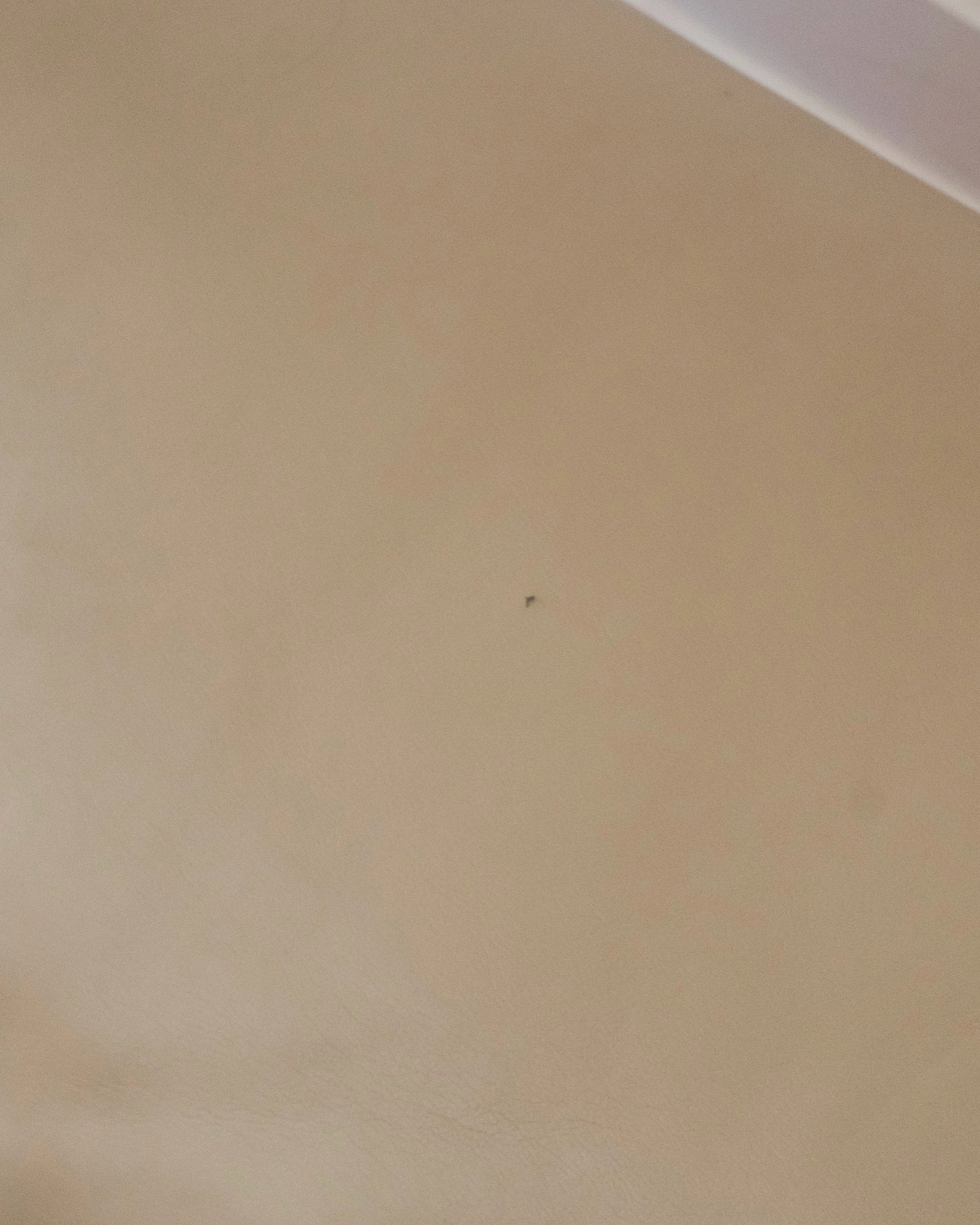 072BC5CA-8BE0-4C86-871D-8A08B30B6D58.jpeg