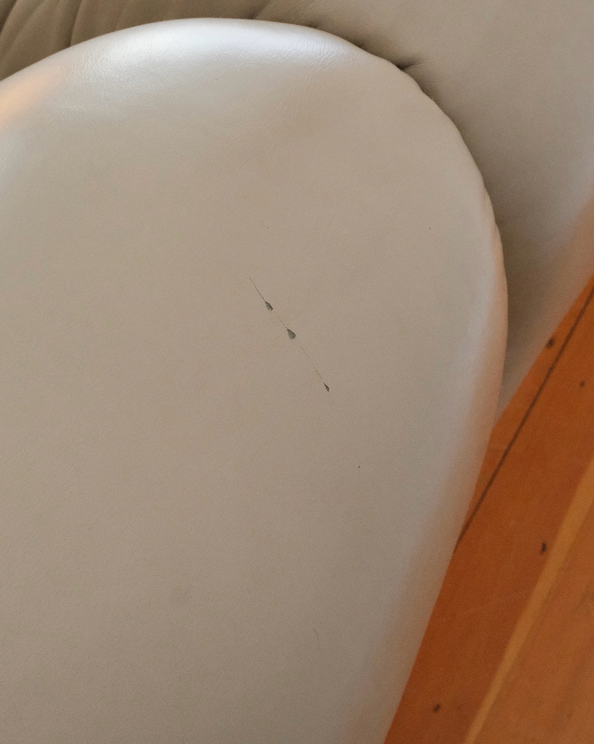 6F390D27-EDD5-4C15-823B-367E88105C08.jpeg