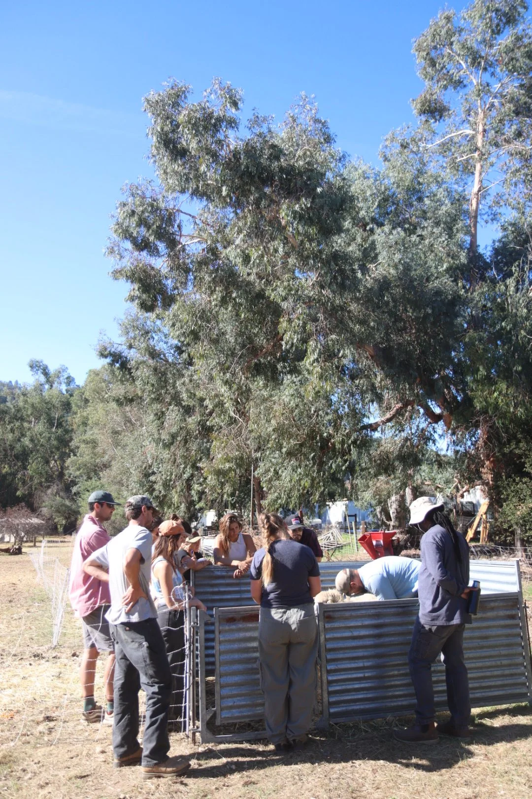 March 14 | Animal Harvest Class