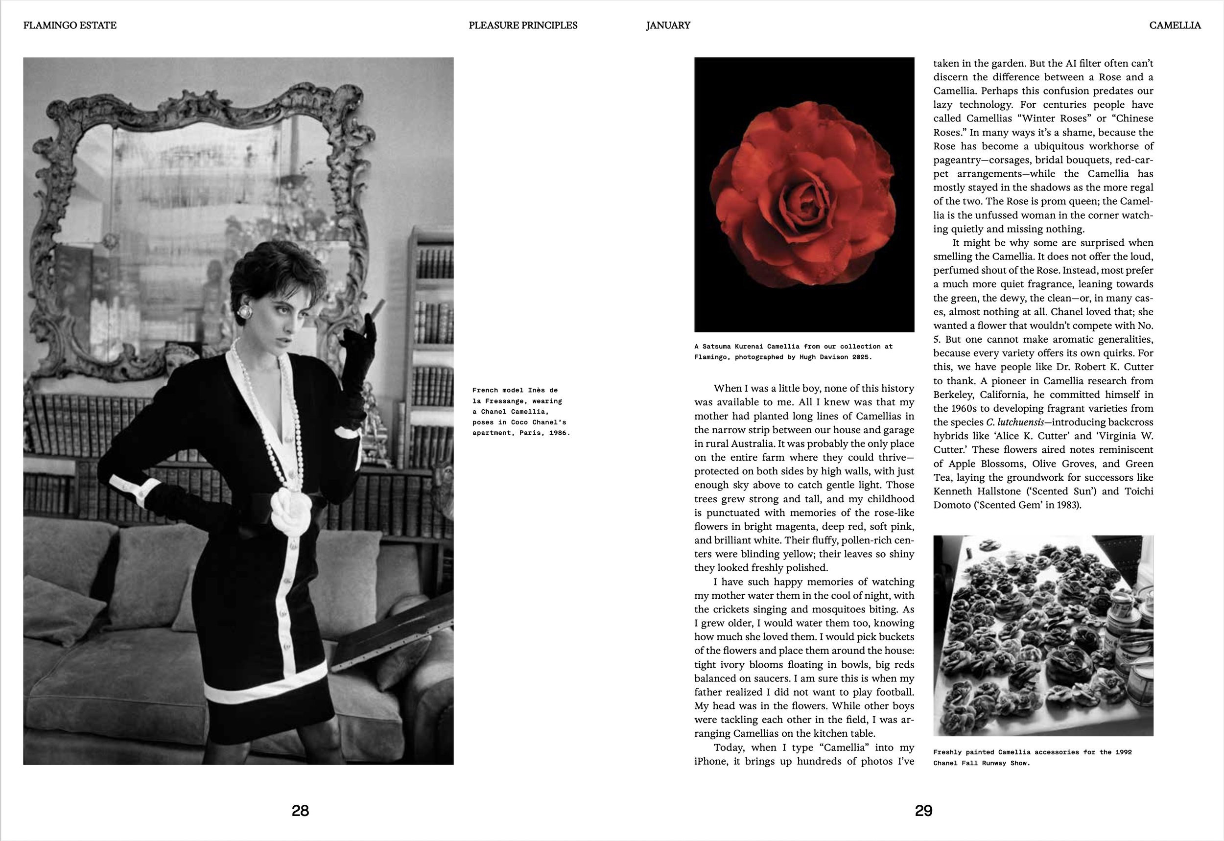 flamingo: chronicle book p28-29.jpg