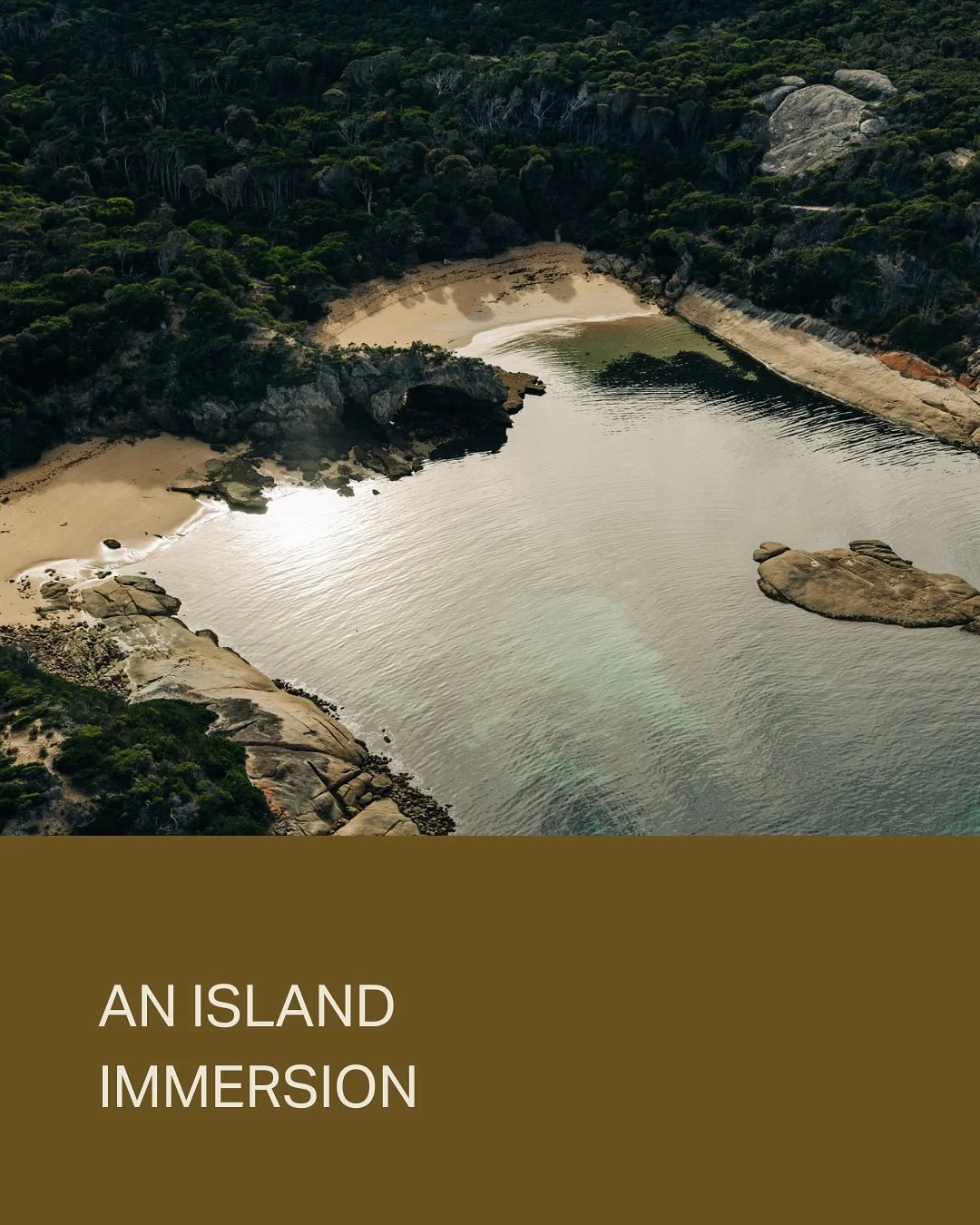 We invite you to jump on over and connect with us @outscape.flindersisland for breathtaking nature, tales of the island, and special insights. 🌊 Embark on our journey! ⁠
⁠
Presenting Outscape Flinders Island. We are dedicated to providing an extraor