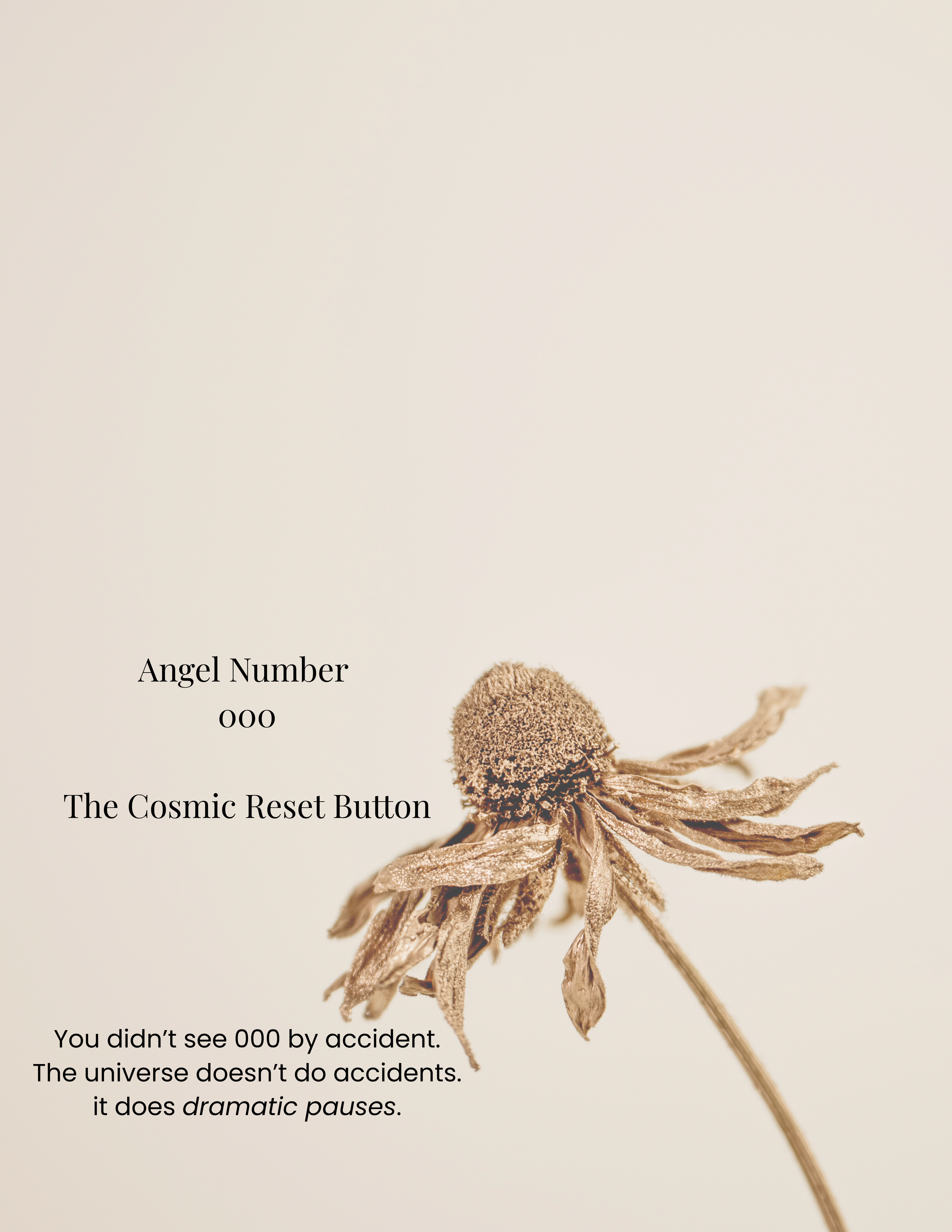 Your paragraph text (1).png