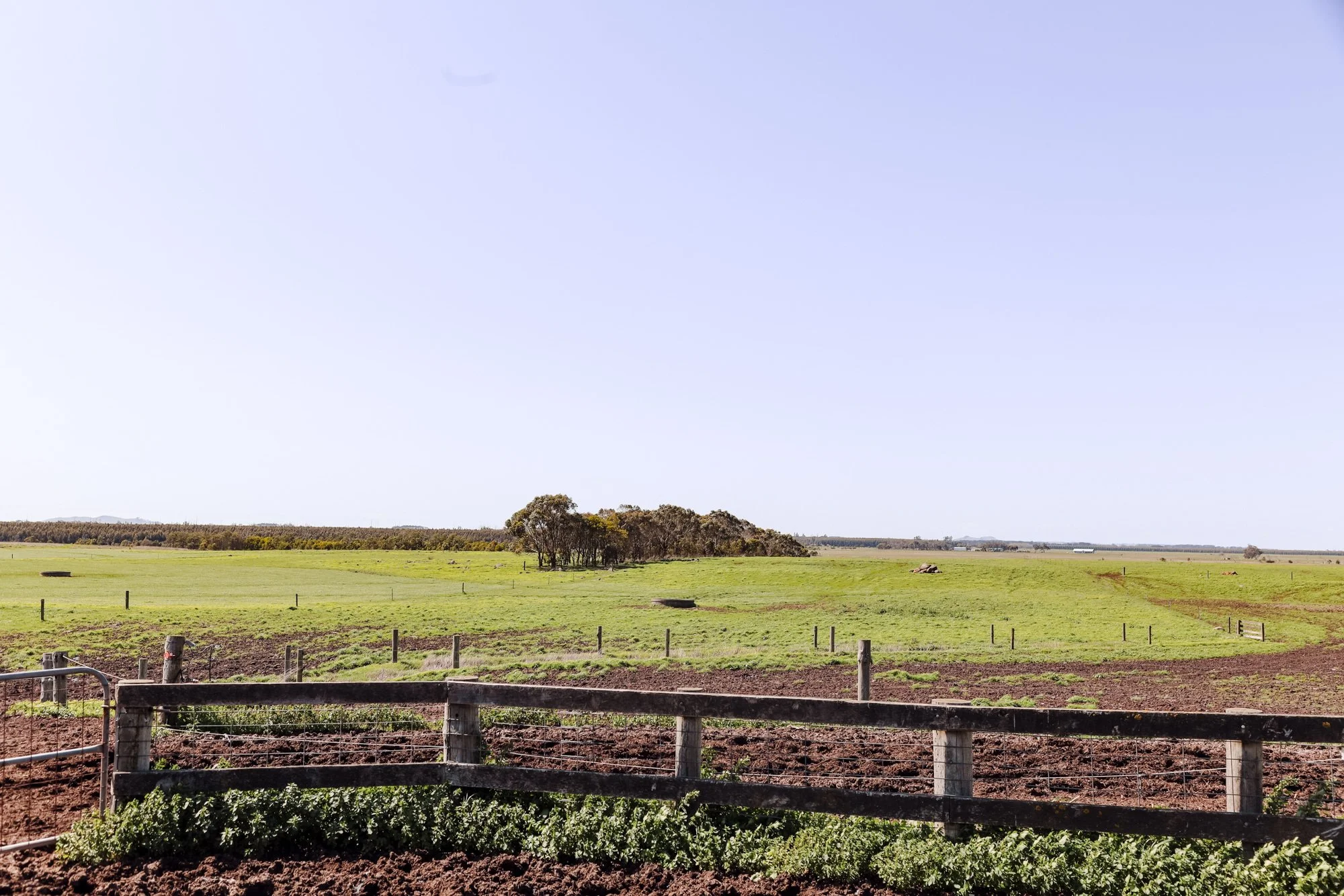 The Impact of El NiNo on Your Farm Insurance 