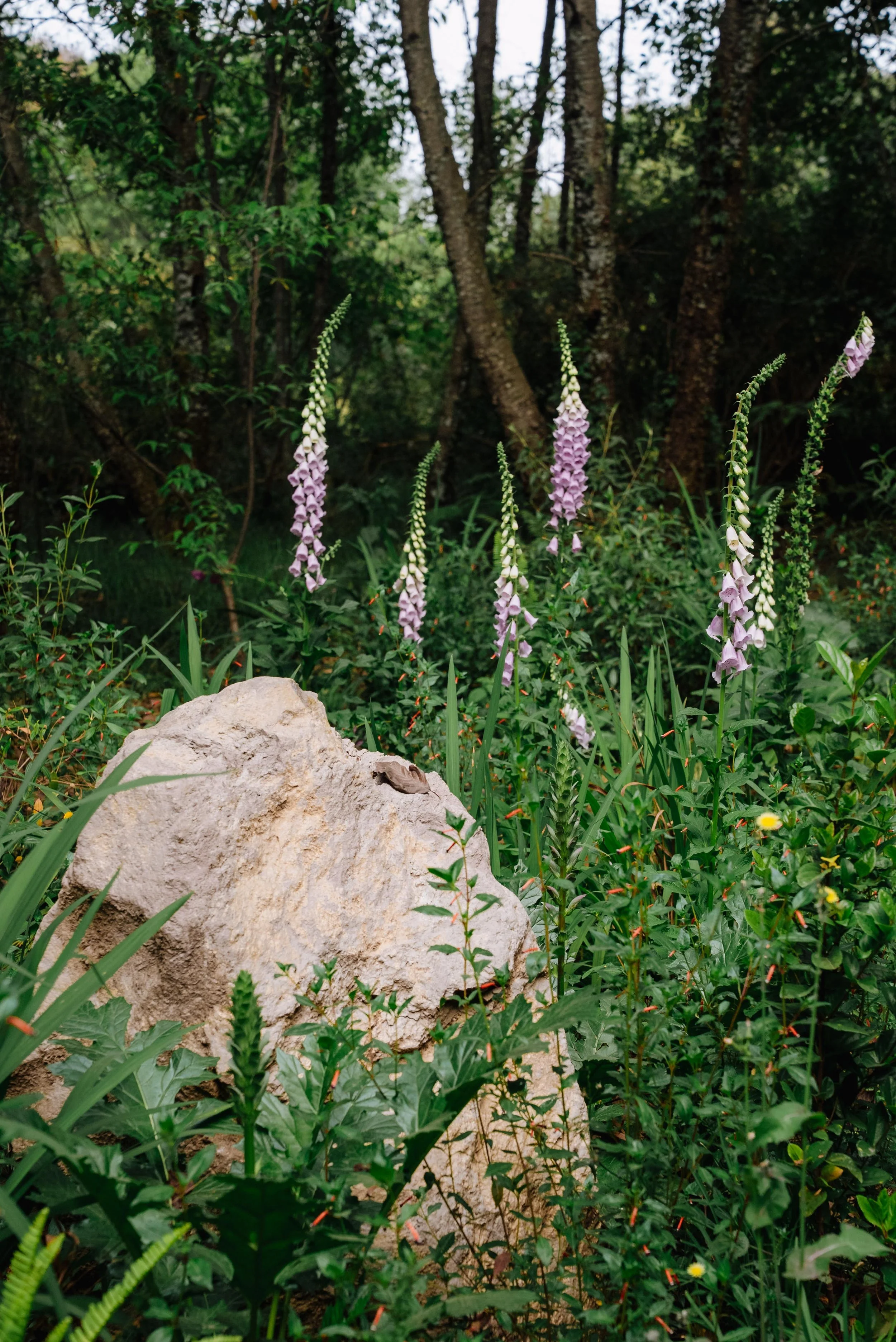 GERMINAL ABRIL 2026-37.jpg