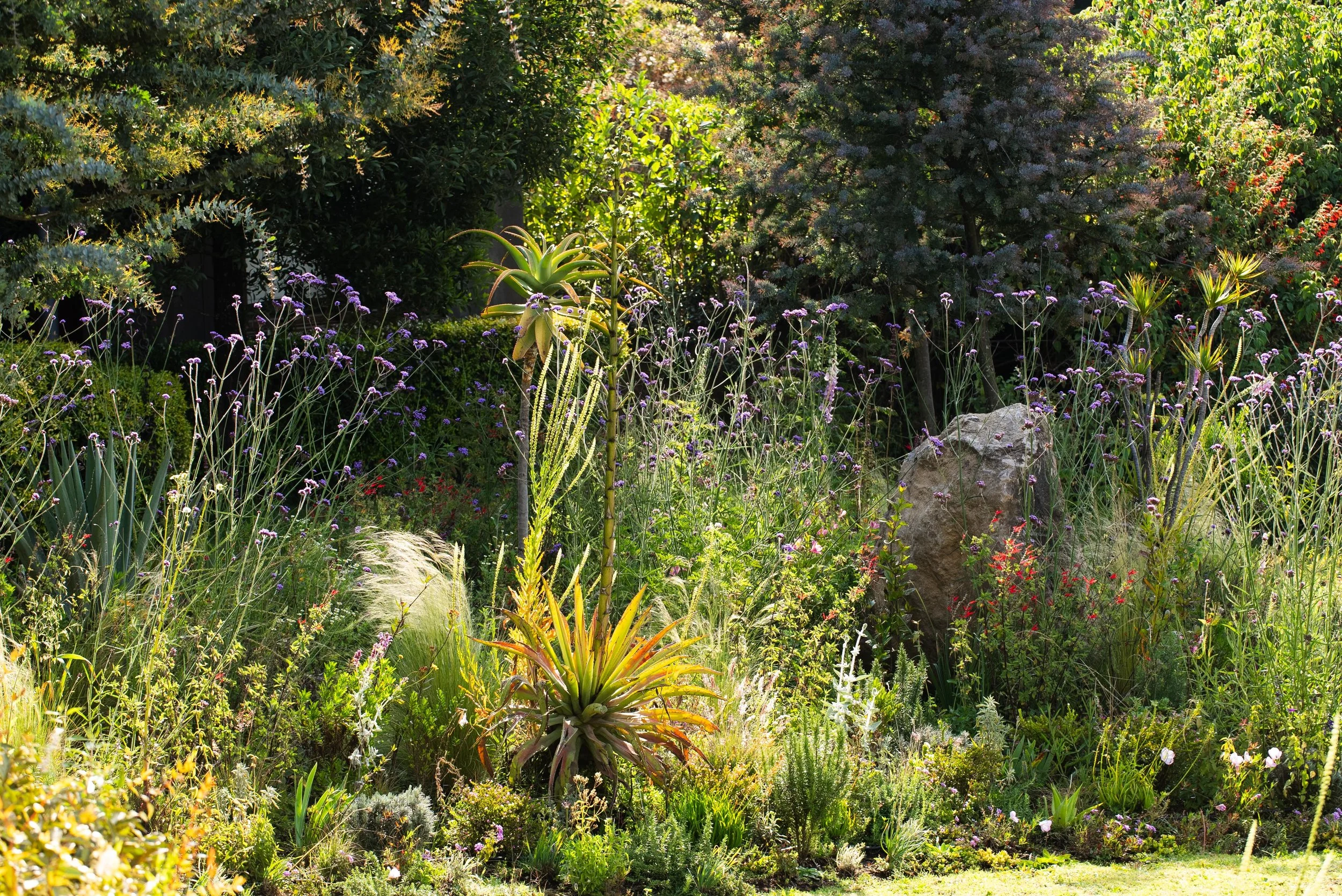 GERMINAL ABRIL 2026-33.jpg