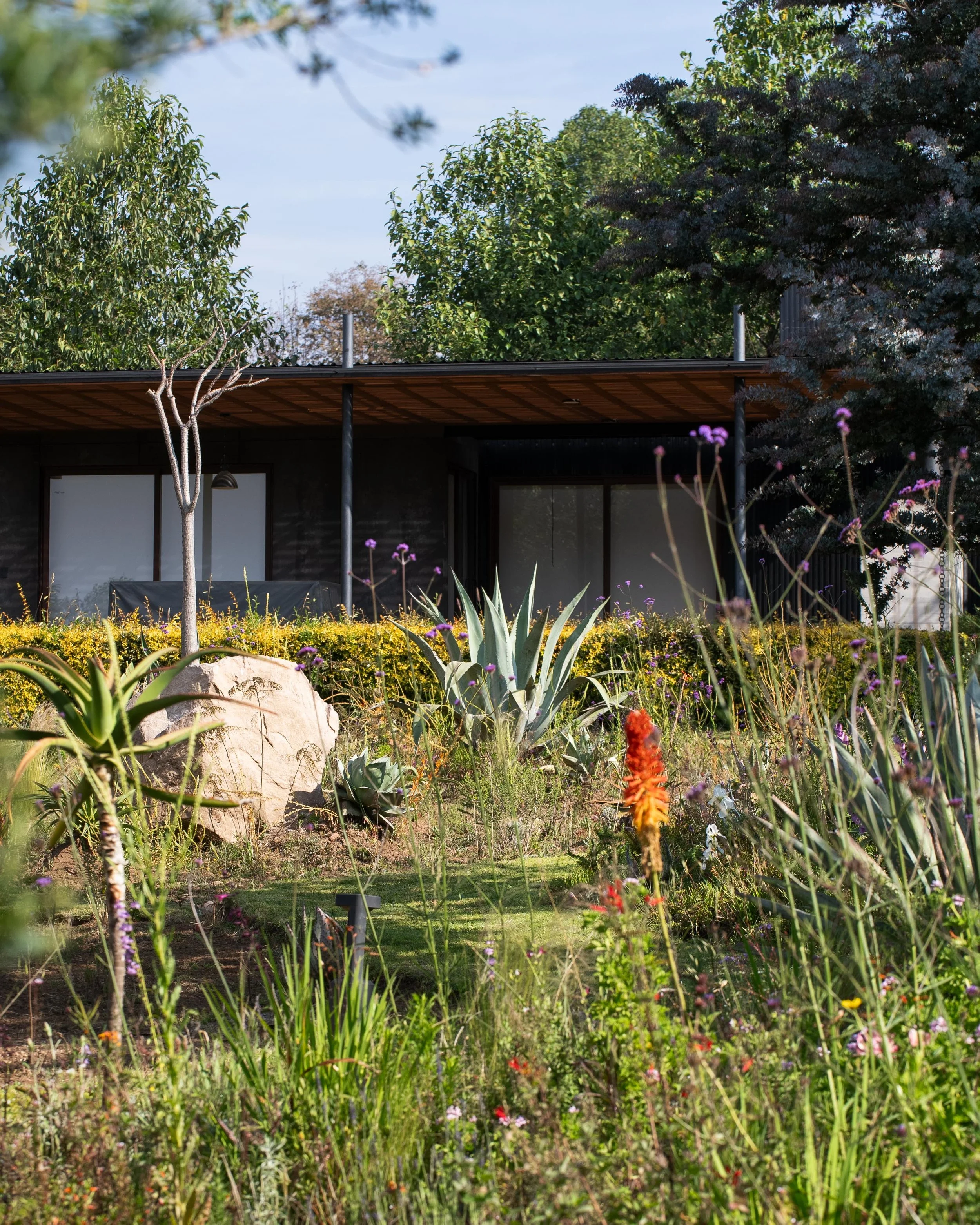 GERMINAL ABRIL 2026-30.jpg