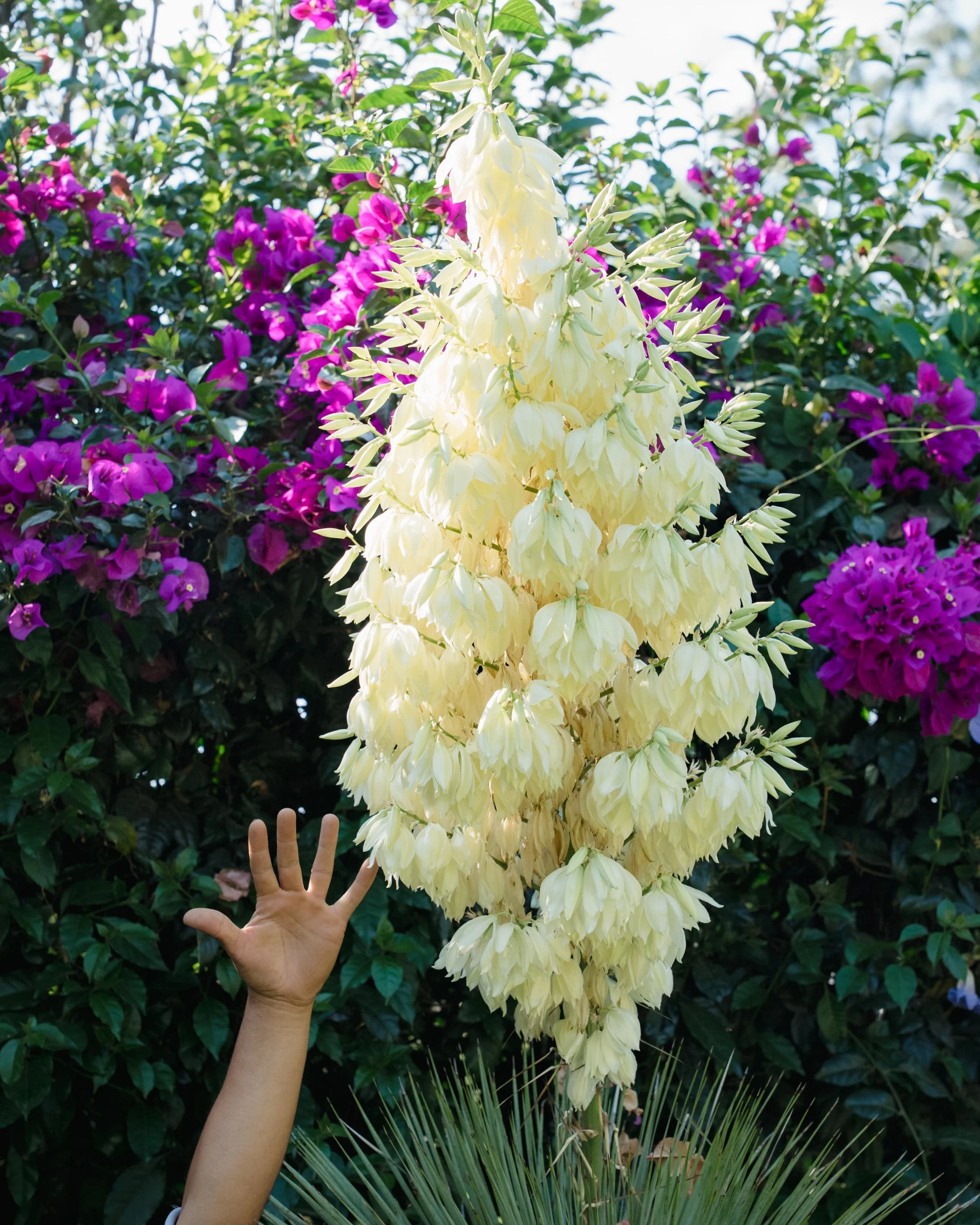 GERMINAL ABRIL 2026-23.jpg