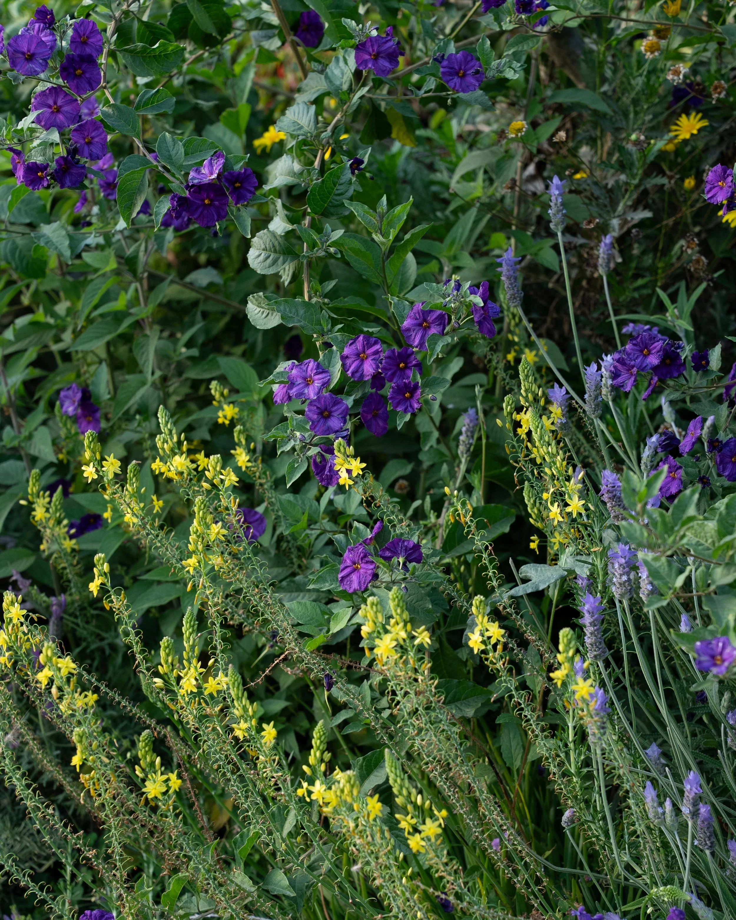 GERMINAL ABRIL 2026-15.jpg