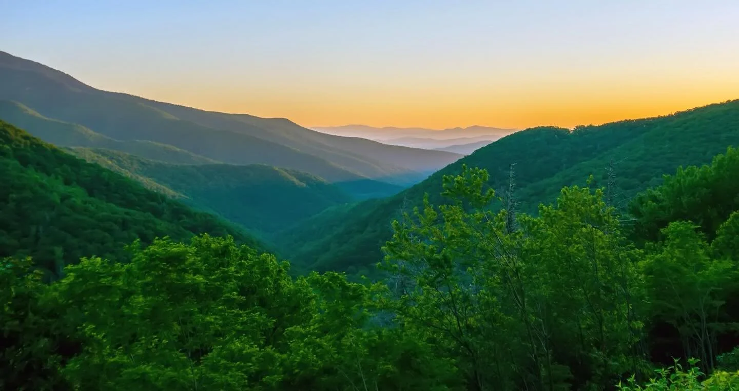 Do you care about our environment? Virginia&rsquo;s sixth district representative Ben Cline surely doesn&rsquo;t. The League of Conservation Voters (LCV.org/moc/ben-cline/) gives Cline a 0% score for his pro-environmental voting record for 2024 and 1