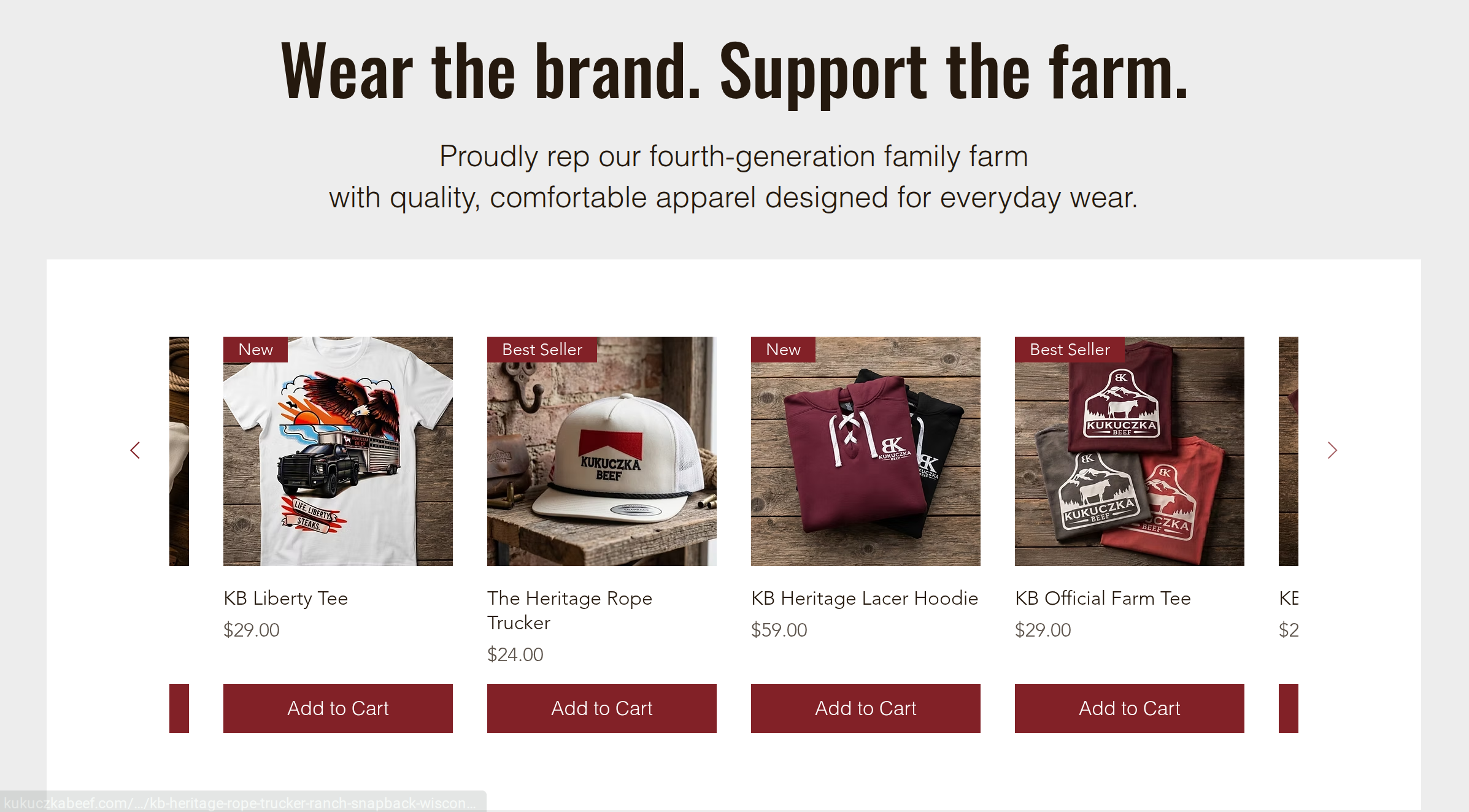 Digital Marketing Wausau WI.png