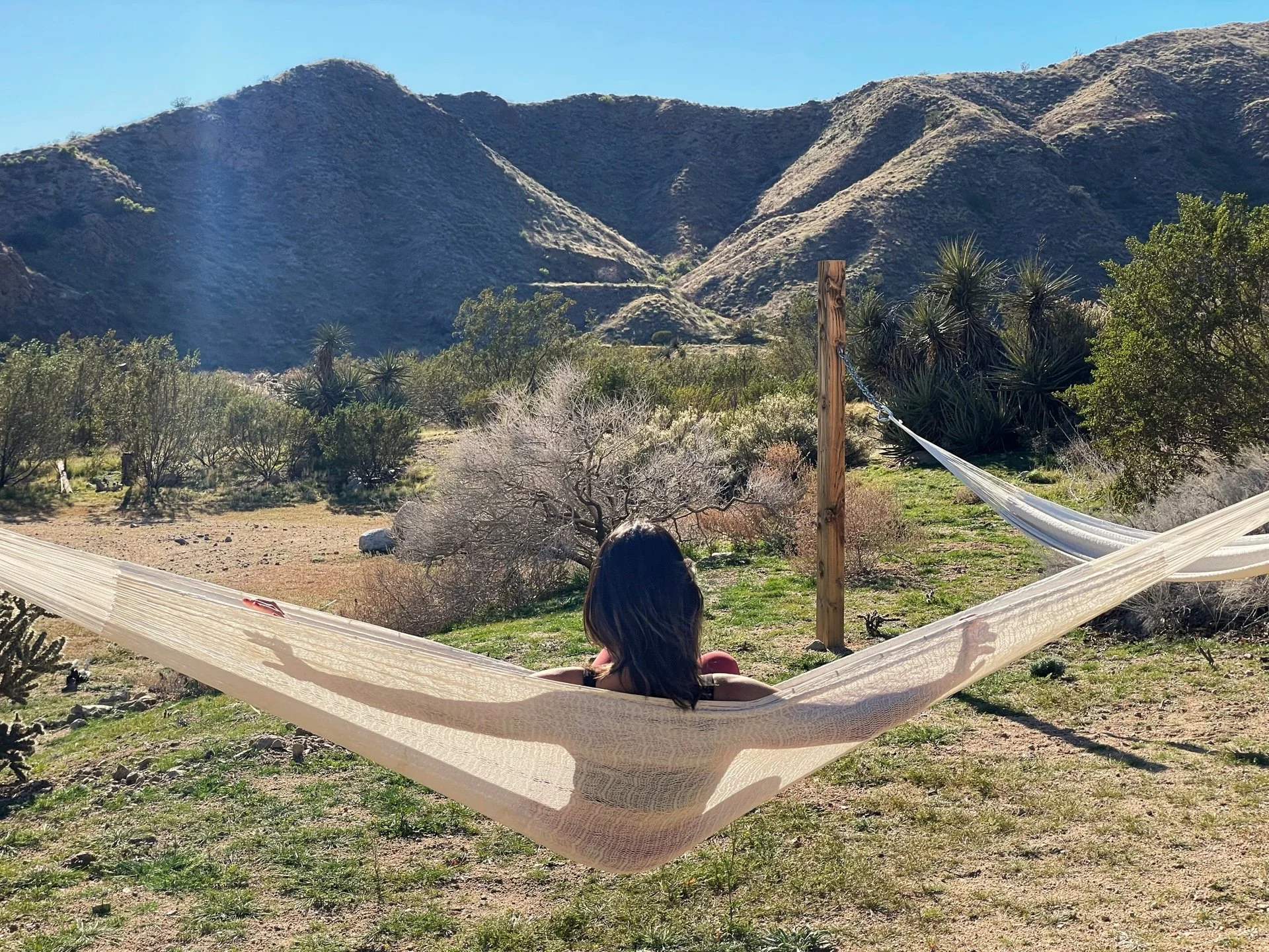 Attachment-1 (1).jpeg