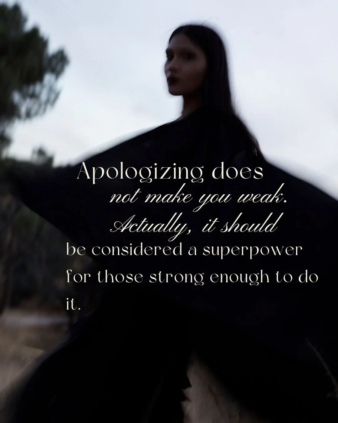 Can You Say I’m Sorry? 