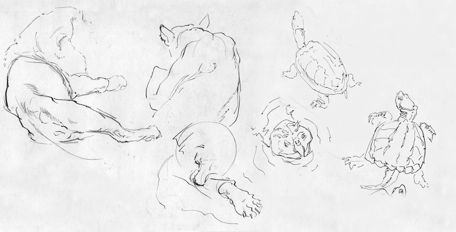 Sketch of various animals including a dog, a cat, a turtle, a duck, and a rabbit, drawn in simple lines.