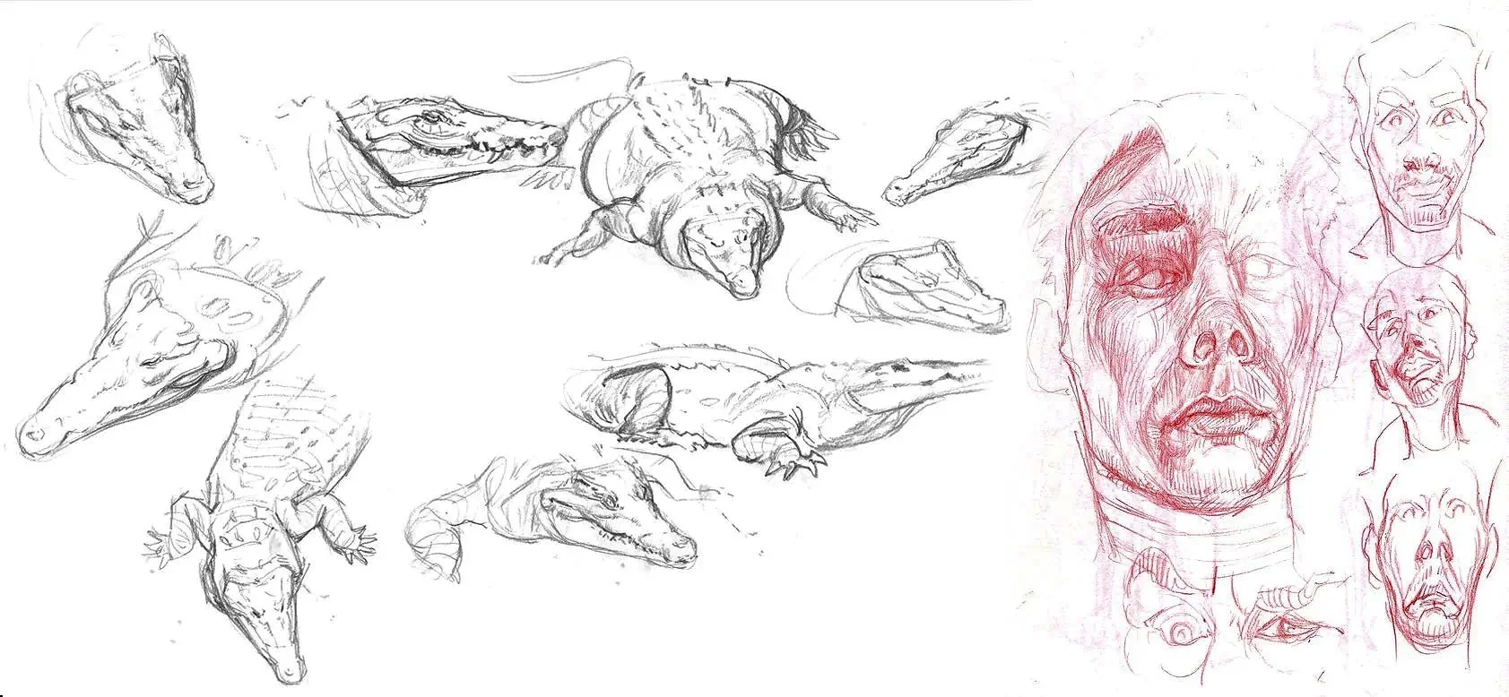 Multiple sketches of crocodiles and alligators in various poses on the left side, and several sketches of human faces showing different expressions on the right side, including a detailed female face in the foreground and various head angles.