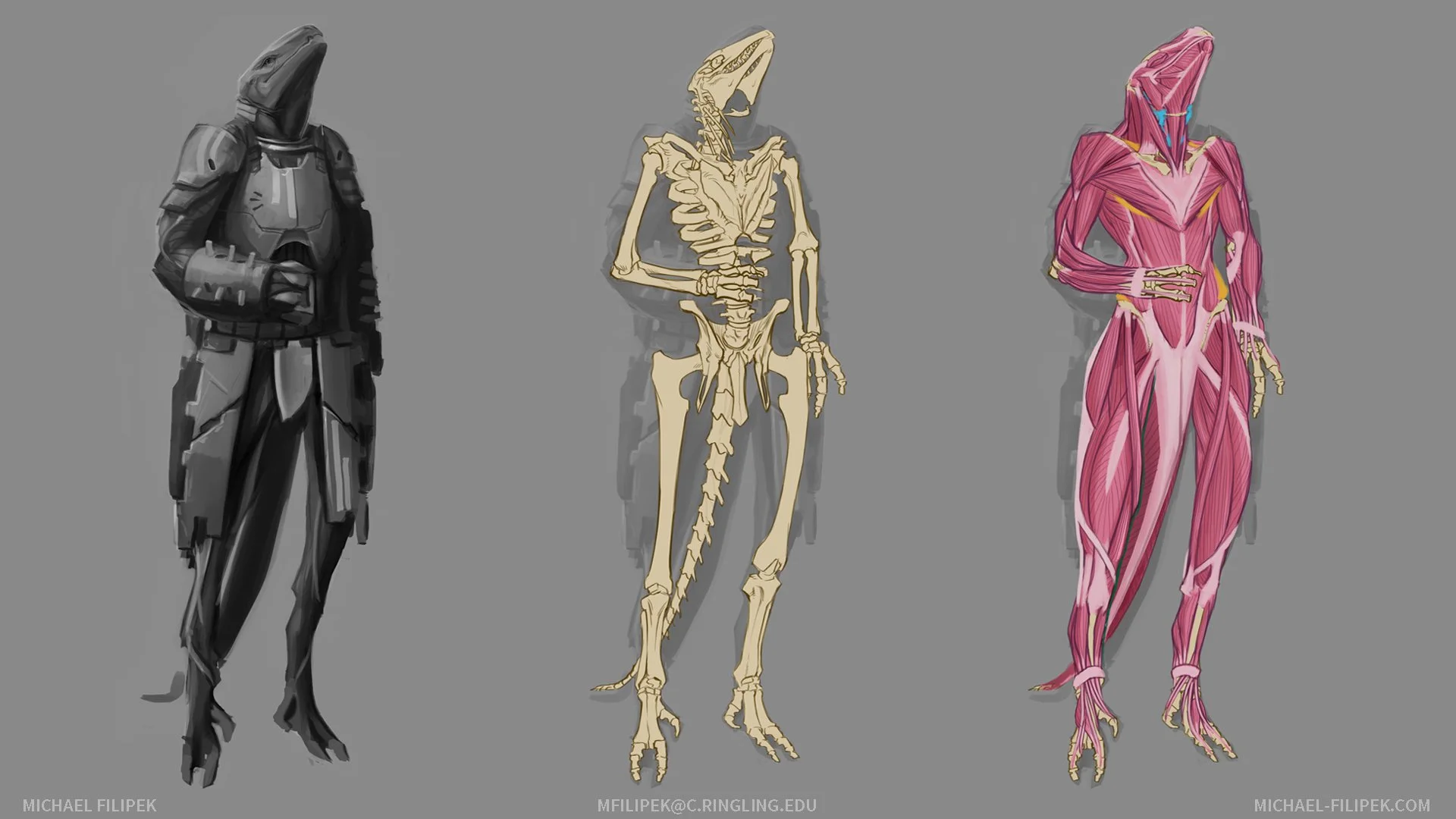 Comparison of a humanoid in a black armor suit, a detailed skeletal anatomy, and a muscular anatomy illustration against a gray background.